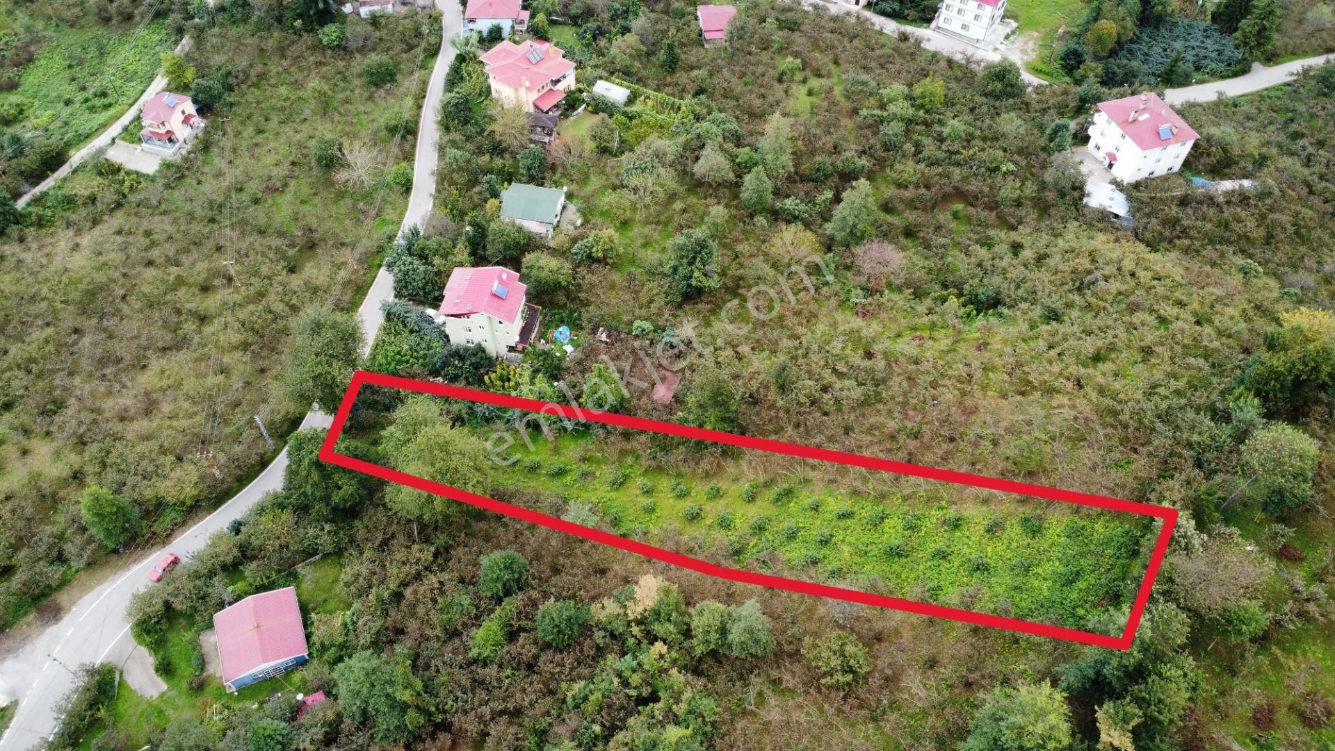 Trabzon Arsin'de Satılık Arazi - Görsel 9
