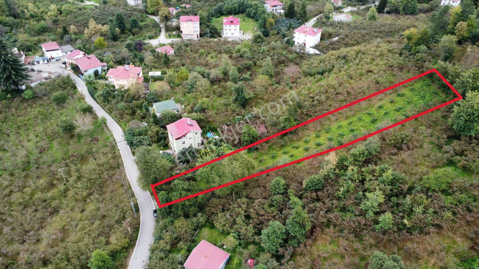 Trabzon Arsin'de Satılık Arazi - Görsel 2