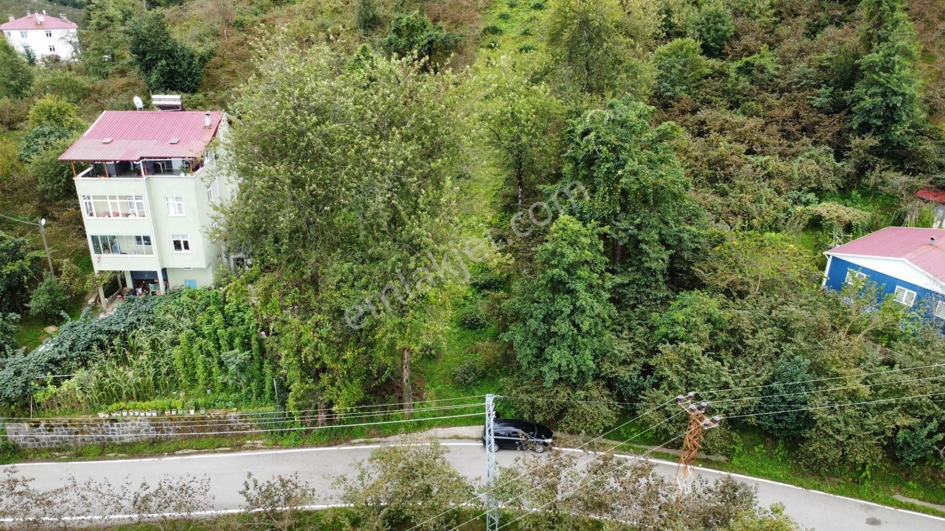 Trabzon Arsin'de Satılık Arazi - Görsel 17