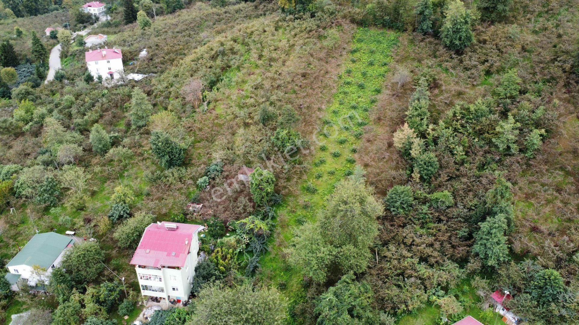 Trabzon Arsin'de Satılık Arazi - Görsel 3
