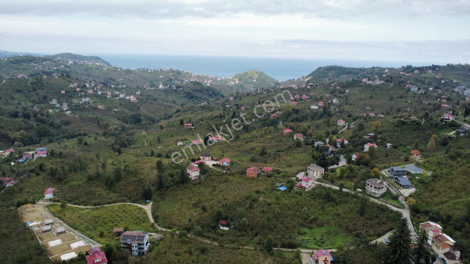 Trabzon Arsin'de Satılık Arazi - Görsel 15