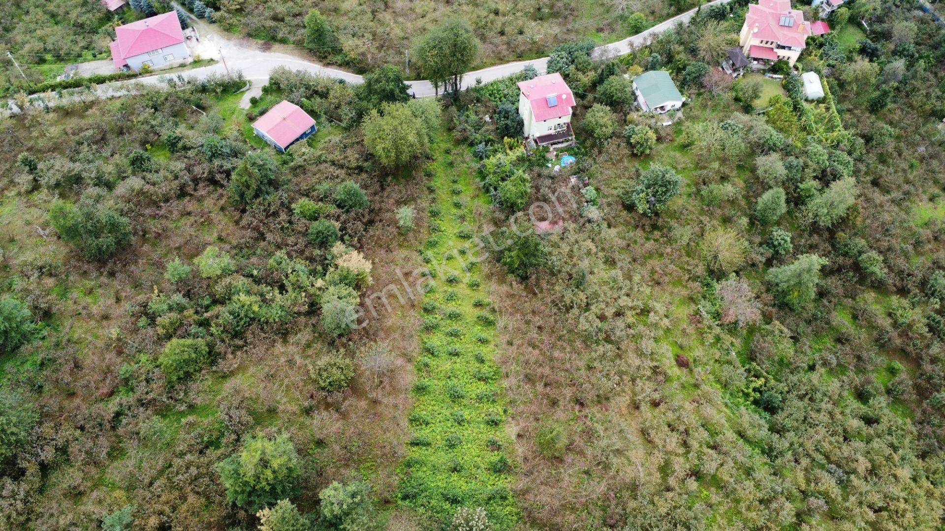 Trabzon Arsin'de Satılık Arazi - Görsel 5