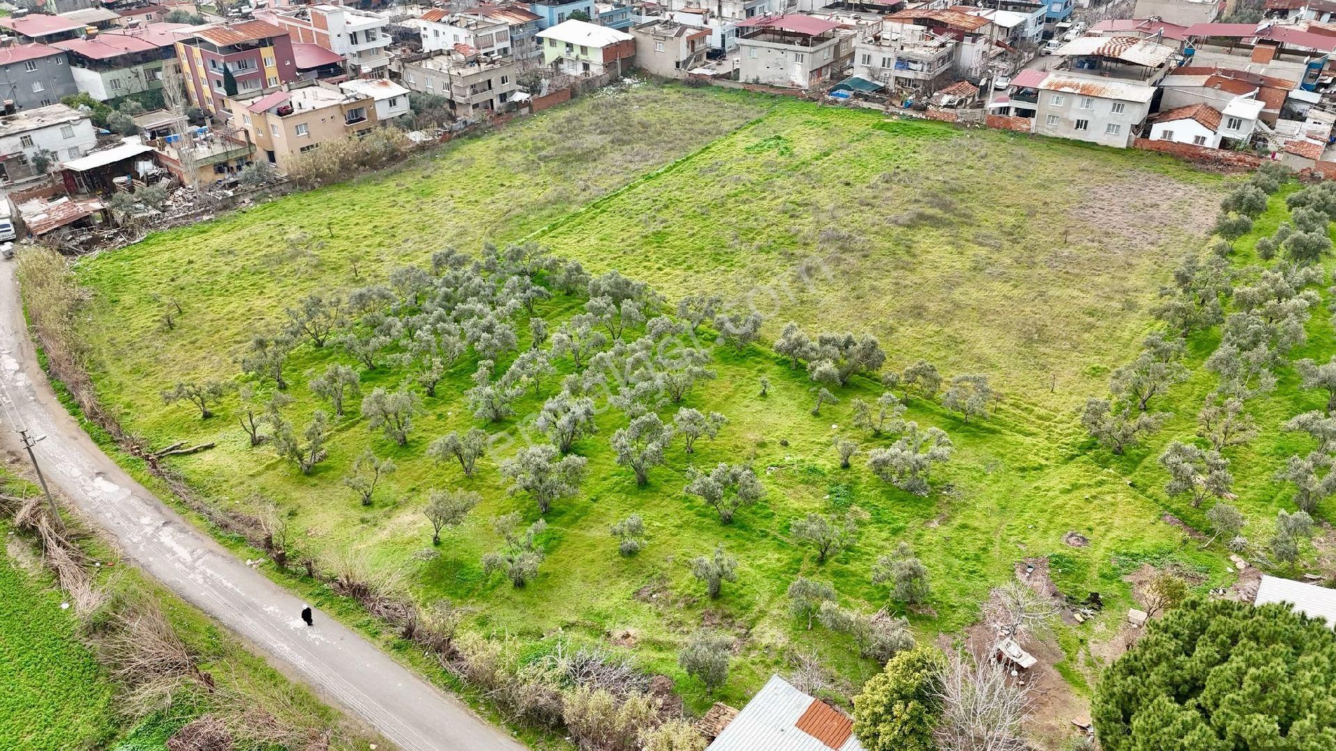 Dönertaş Emlaktan Nazilli Merkezde Arsa Bahçe - Görsel 35