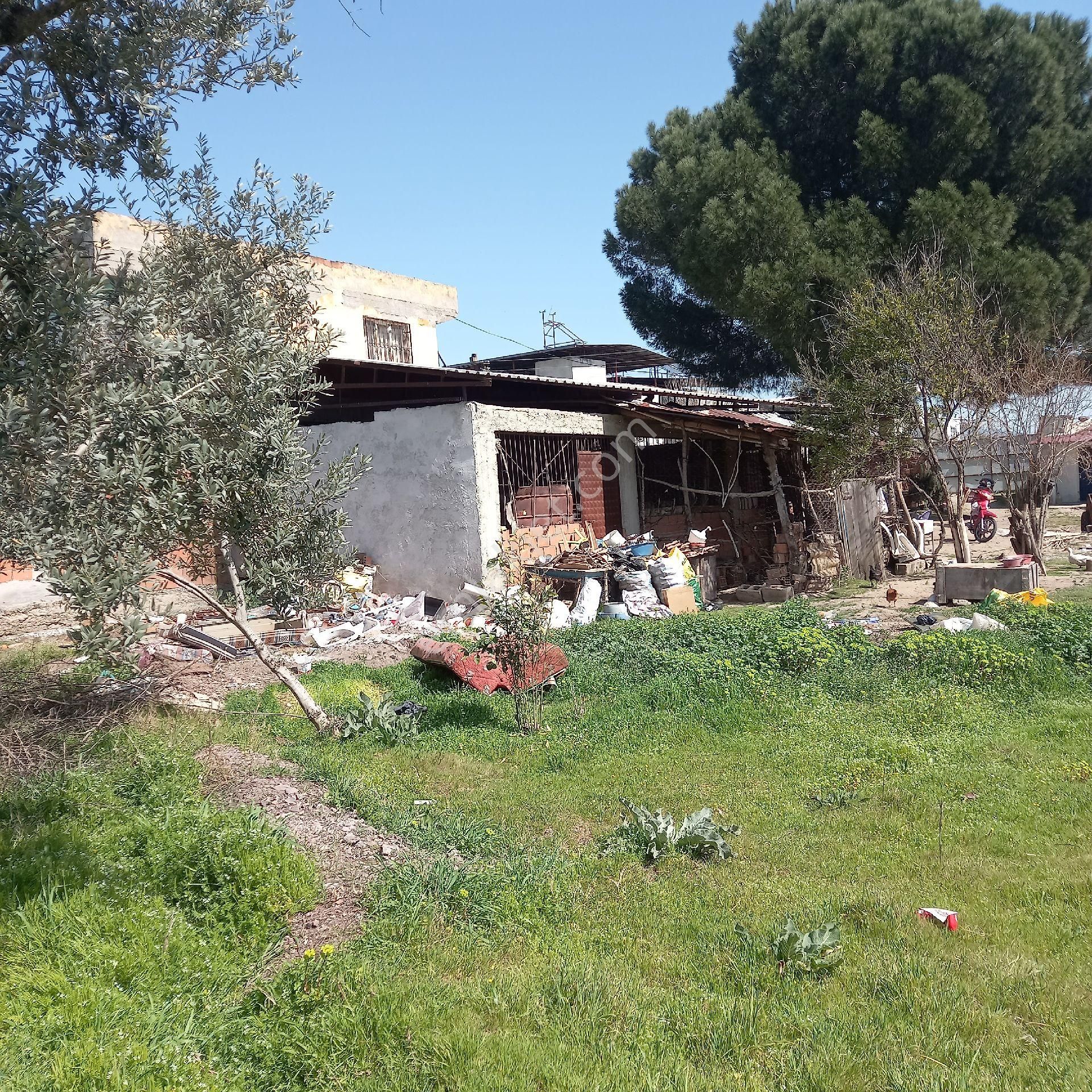 Dönertaş Emlaktan Nazilli Merkezde Arsa Bahçe - Görsel 26