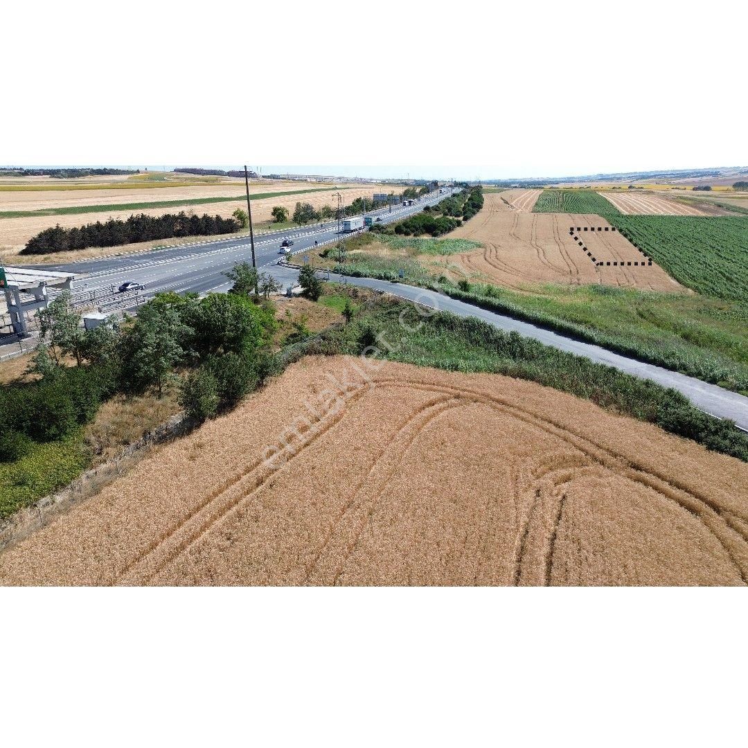 Sahibinden Silivri Alipaşa Gişeler Yanında 250+265=515 M2 Çaplı Arazi - Görsel 9