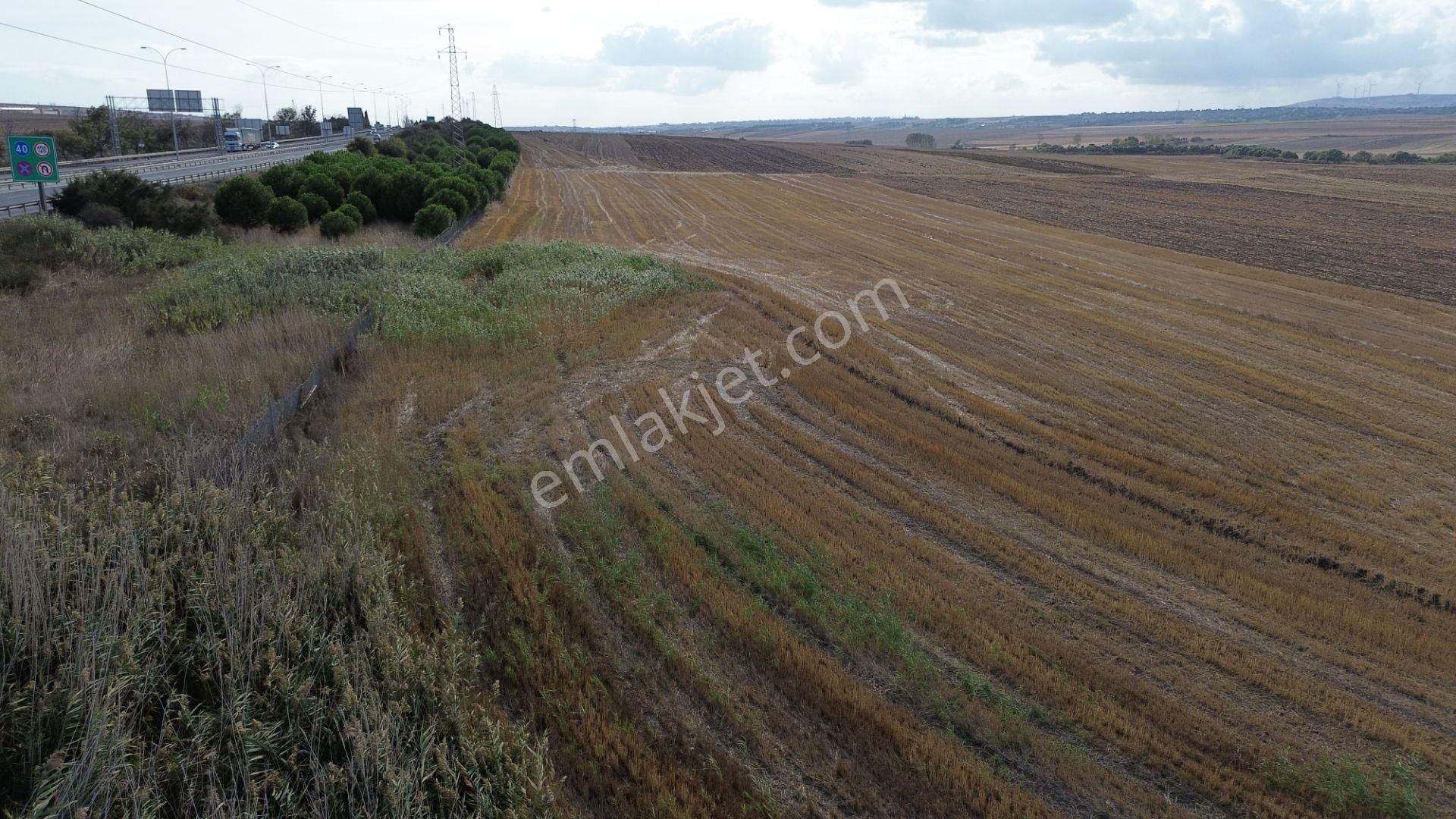 Sahibinden Silivri Alipaşa Gişeler Yanında 250+265=515 M2 Çaplı Arazi - Görsel 19