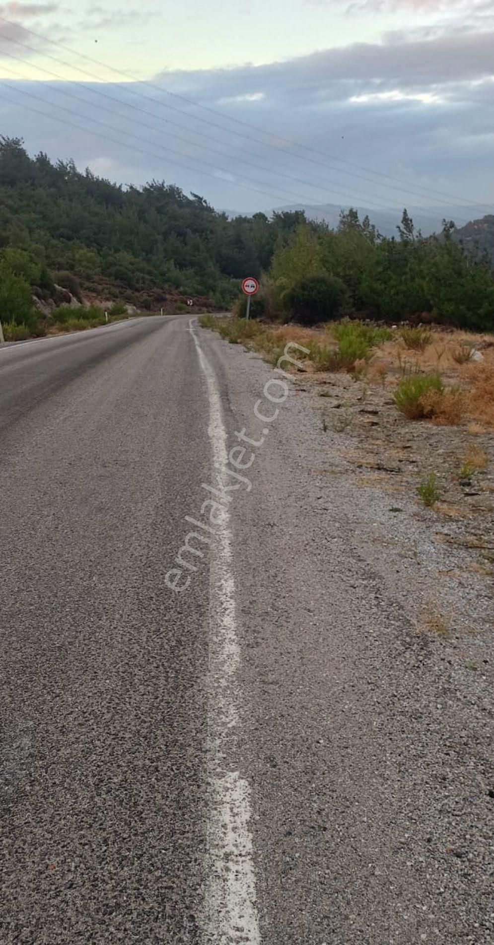 Yola Sıfır Zeytinlik - Görsel 9