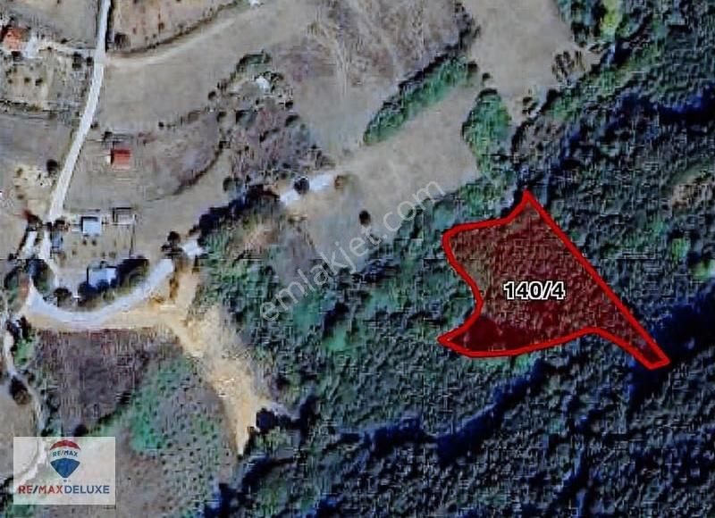 İzmit Zeytinburnu'nda Satılık 4.478m2 Fındıklık - Görsel 3