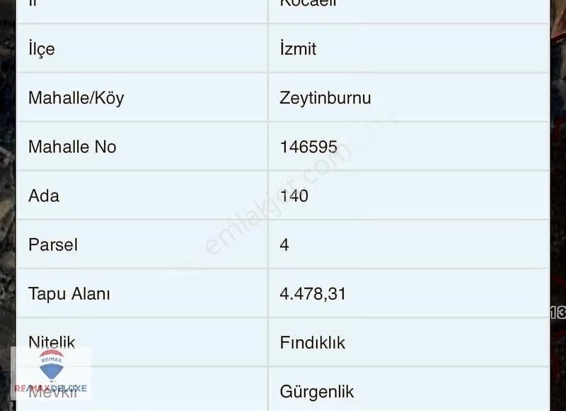 İzmit Zeytinburnu'nda Satılık 4.478m2 Fındıklık - Görsel 2