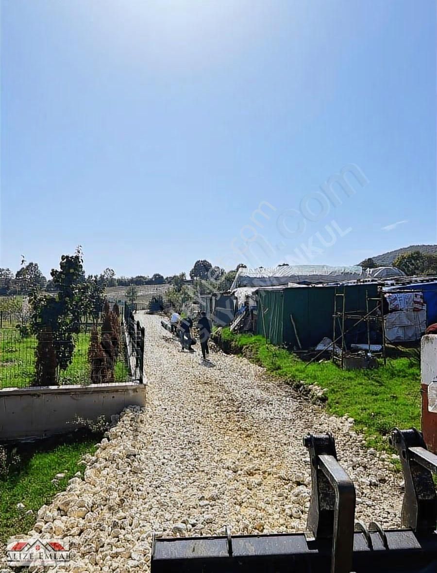 Alizeden Çatalca Çiftlikköyde Etrafı Çevrili Çap Muvakatnameli - Görsel 5