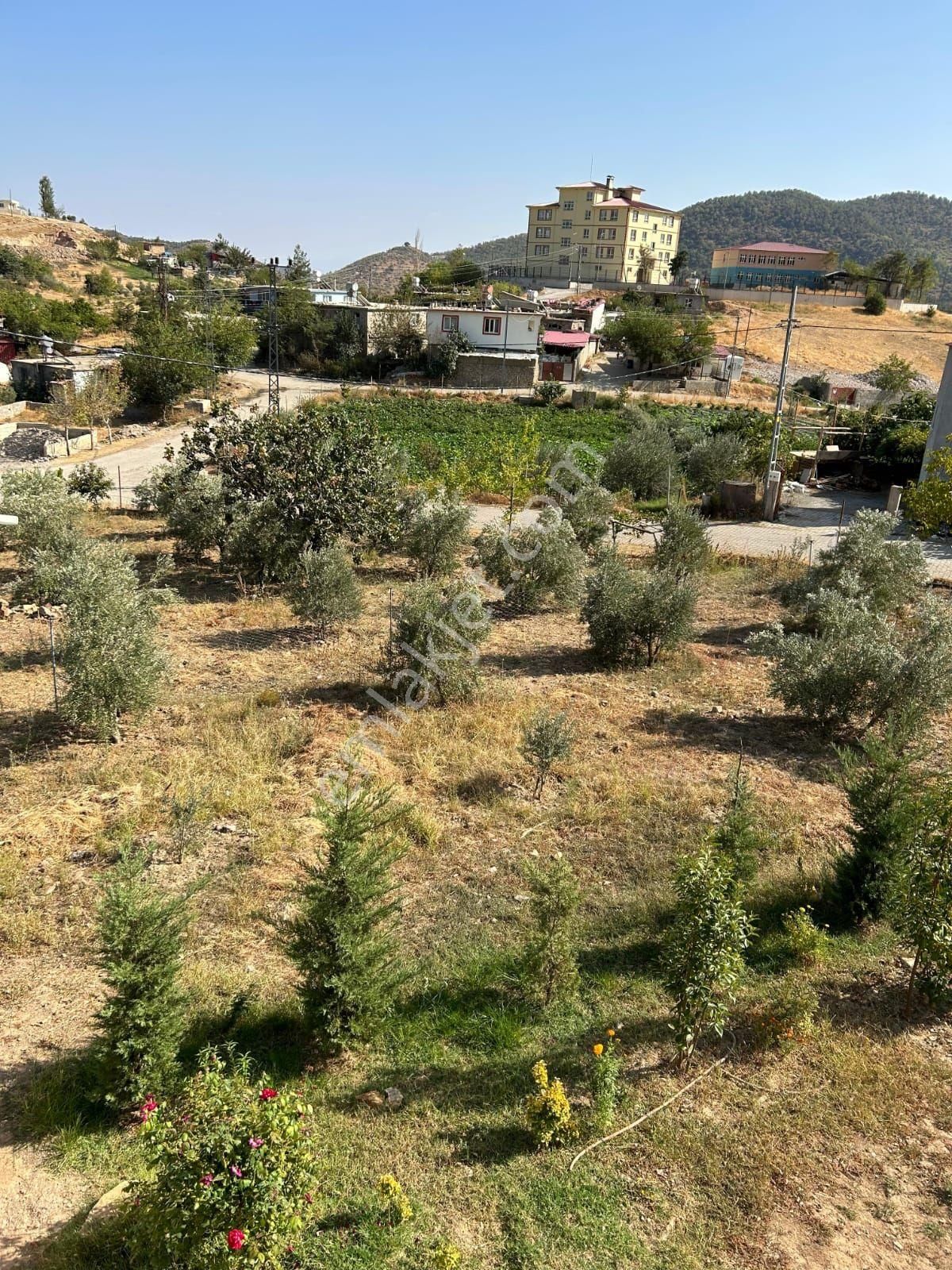 Zeytinlik Bahçe 🏠 Ev - Görsel 2