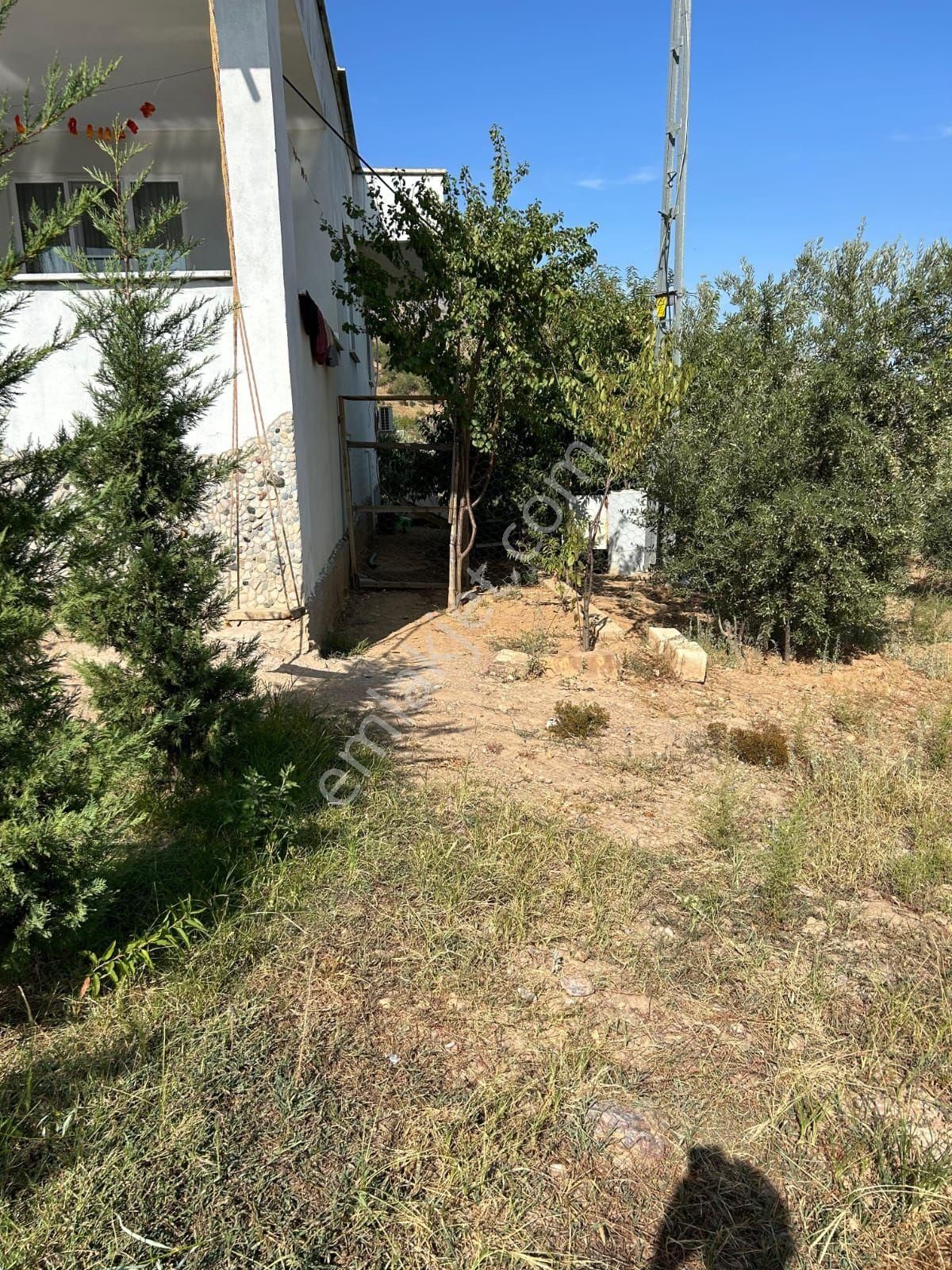 Zeytinlik Bahçe 🏠 Ev