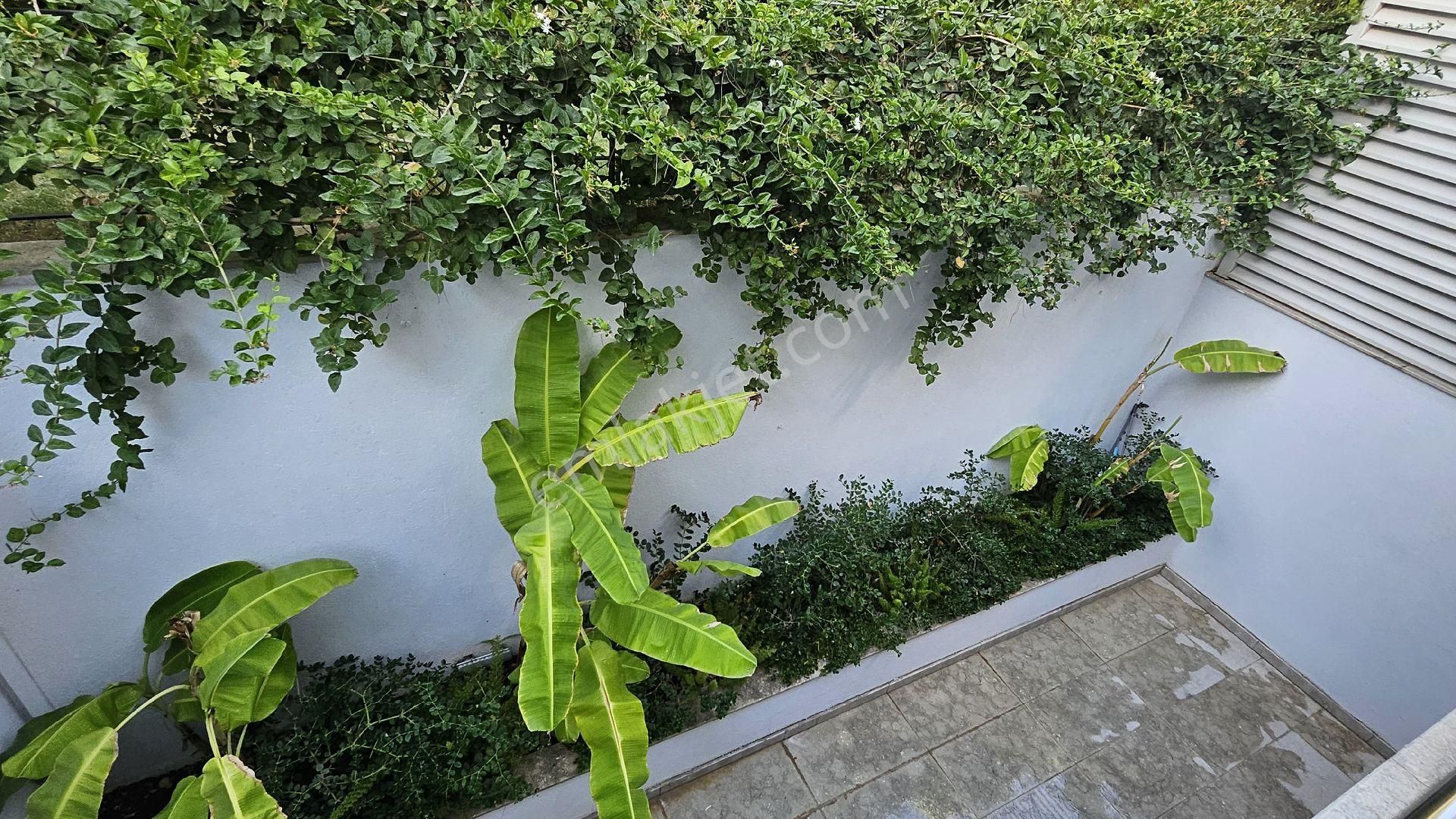 Bodrum Gölköy'de Butik Havuzlu Sitede Eşyalı 3+1 Kiralık Dubleks - Görsel 27