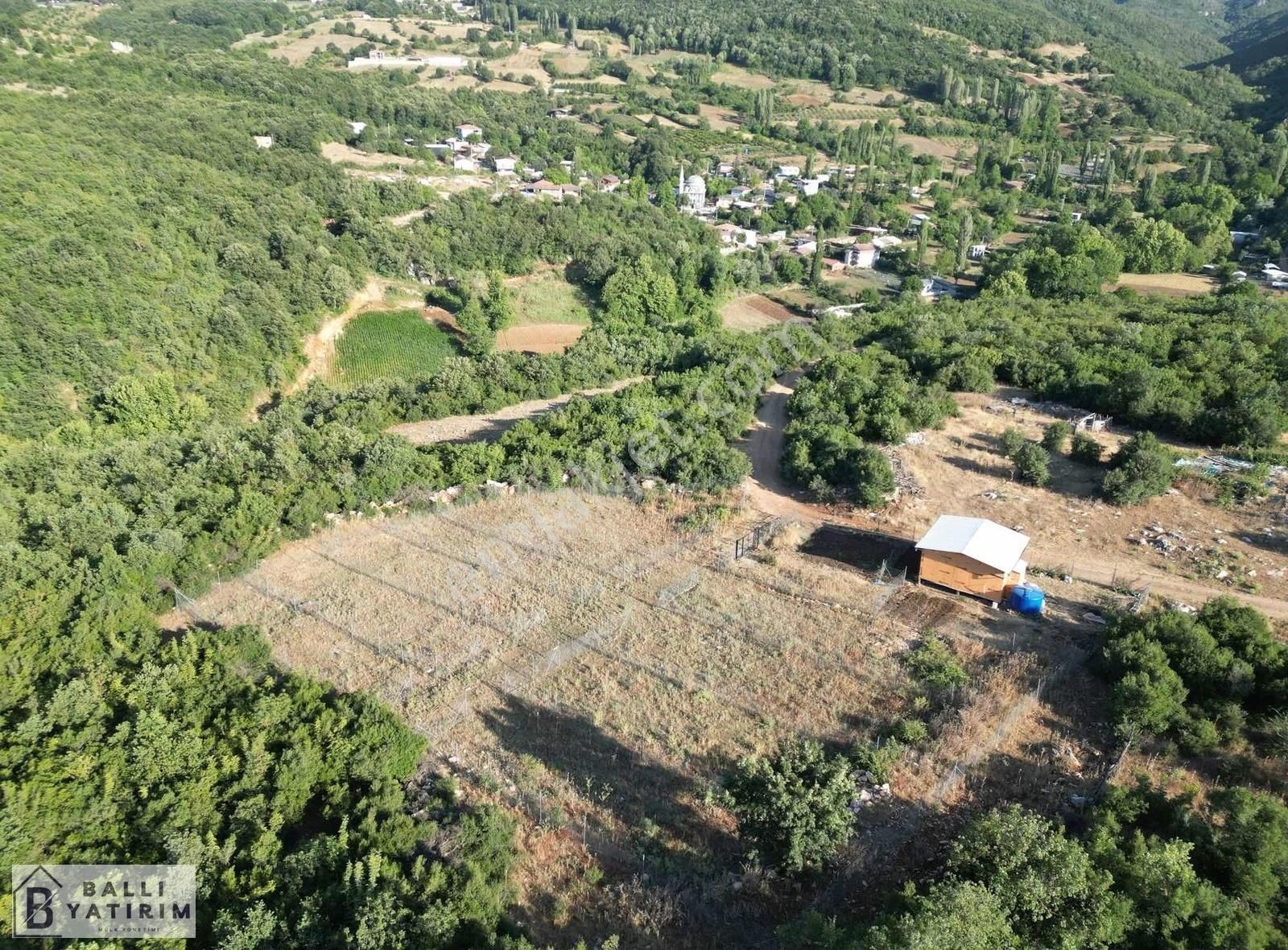 Ballı Yatırım'dan İnegazi'de Köye Yakın Manzaralı Hobi Bahçeleri - Görsel 14