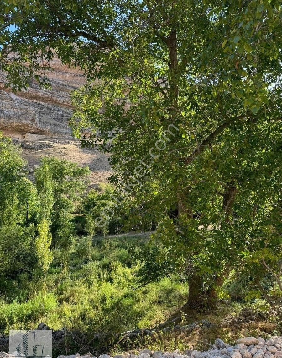 Empa'dan Güldere Saklı Cennette Dereye Sıfır Satılık Hobi Bahçesi