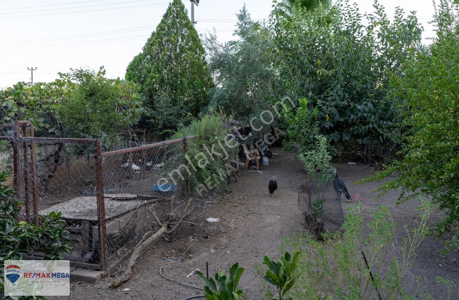 Döşemealtı Çığlıkda 944 M2 Arsa İçinde 6+2 Satılık Müstakil Ev - Görsel 20