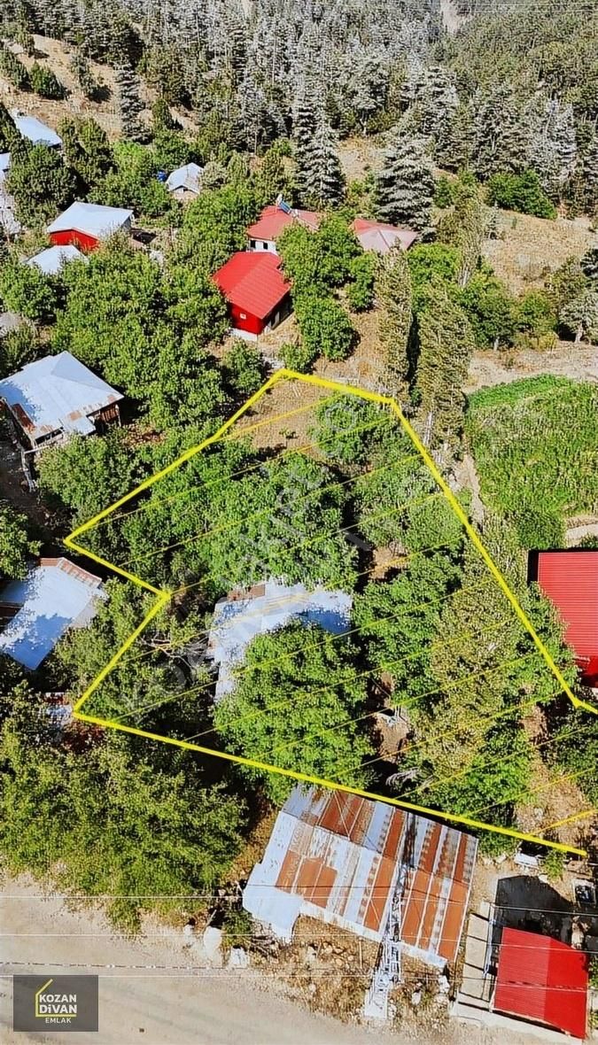 Kozan Divan Emlak'tan Çataloluk'ta Tek Tapu Satılık Yayla Evi
