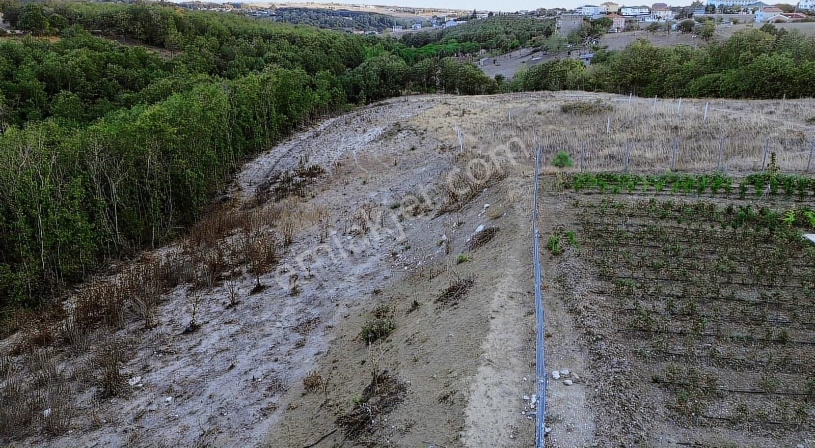 Silivri Büyükçavuşlu Mahalesinde Satılık Villa Arsası - Görsel 20