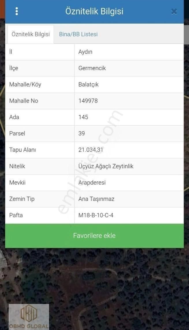 Obhd Global Gayrimenkul'den Aydın'da Satılık Zeytin Bahçeleri - Görsel 3