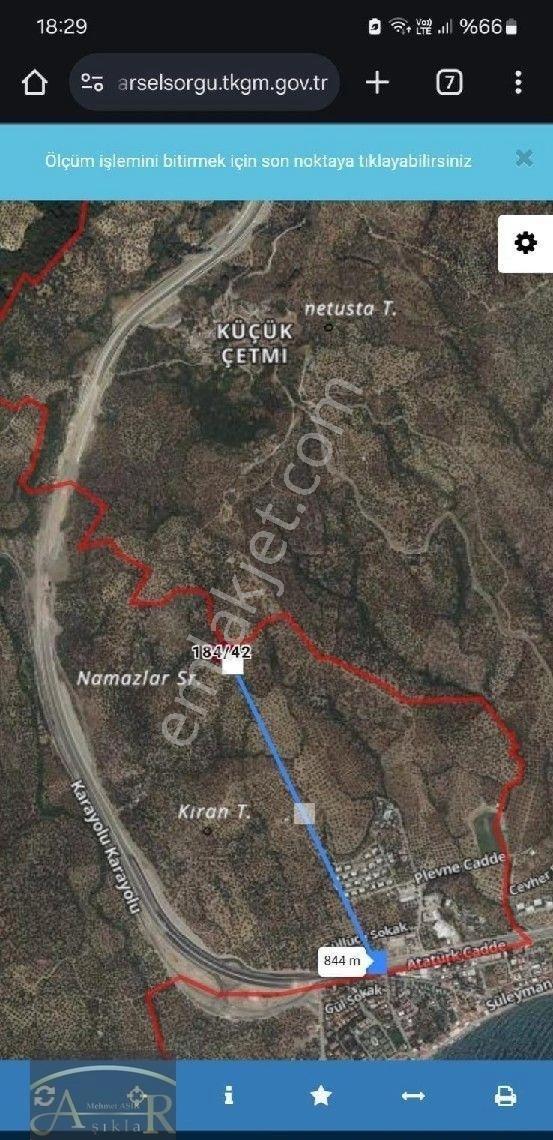 Çanakkale Ayvacık Yeşilyurt Köyü Satılık Zeytinlik - Görsel 3