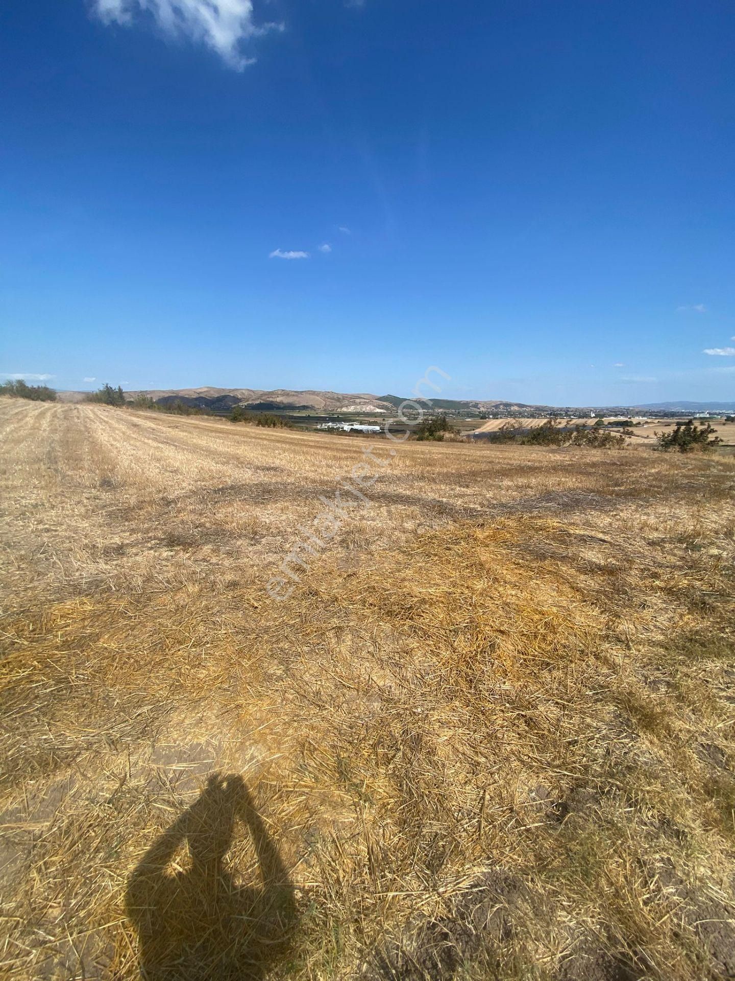 İmarlı 5 Dönüm Arazi - Görsel 8