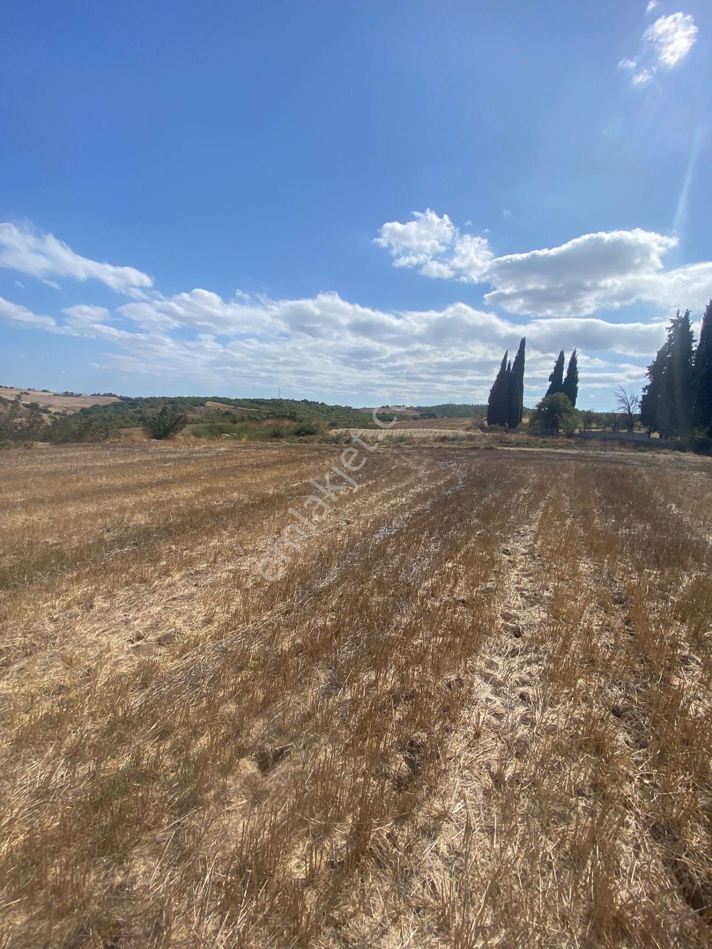 İmarlı 5 Dönüm Arazi - Görsel 2