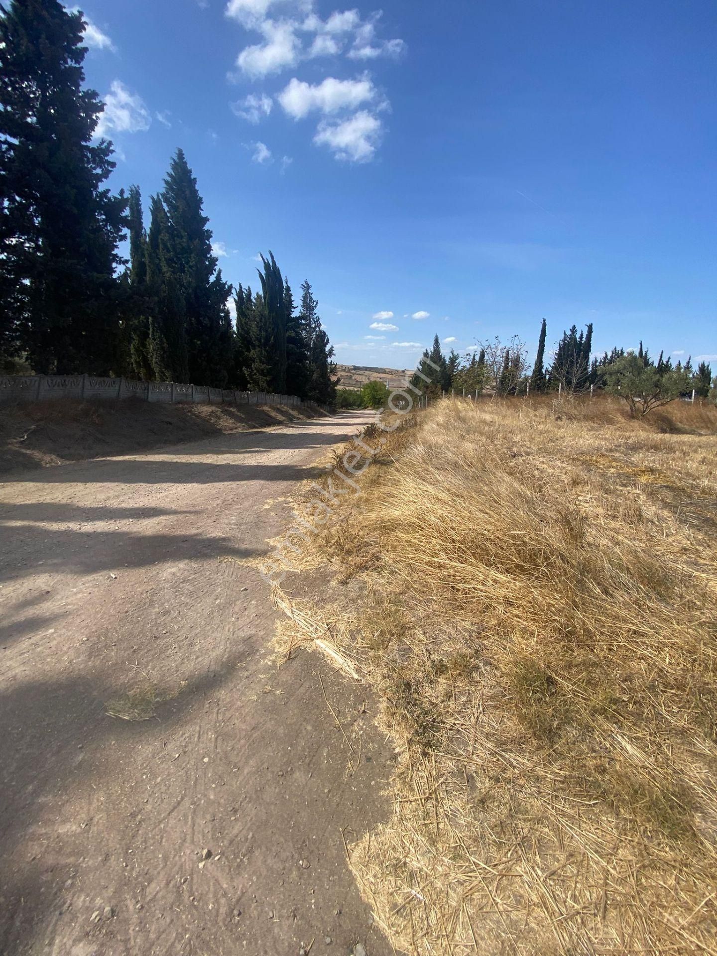 İmarlı 5 Dönüm Arazi - Görsel 10