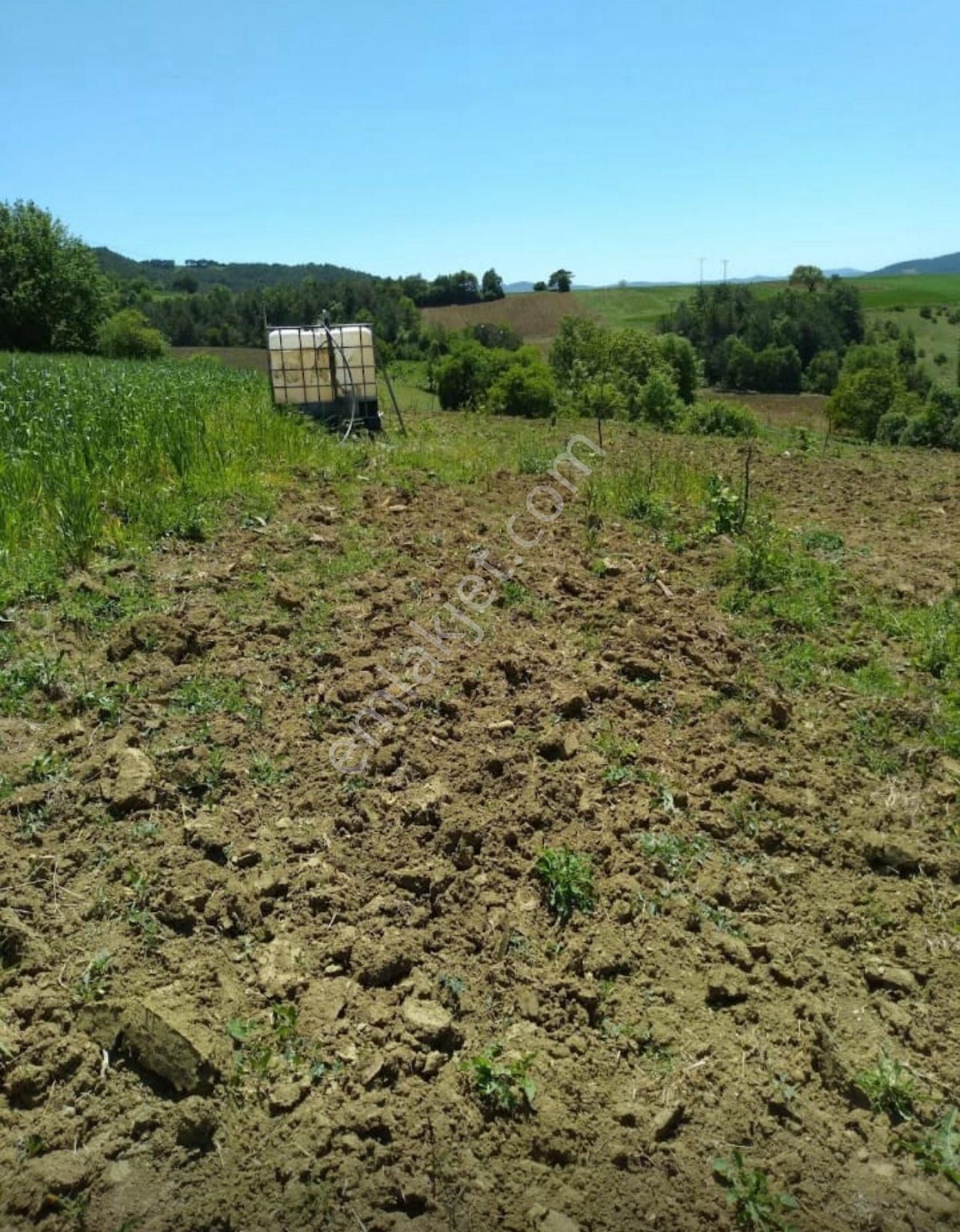 Asrından Yatırımlık Köy İçi İmara Yakın Arazimiz - Görsel 4