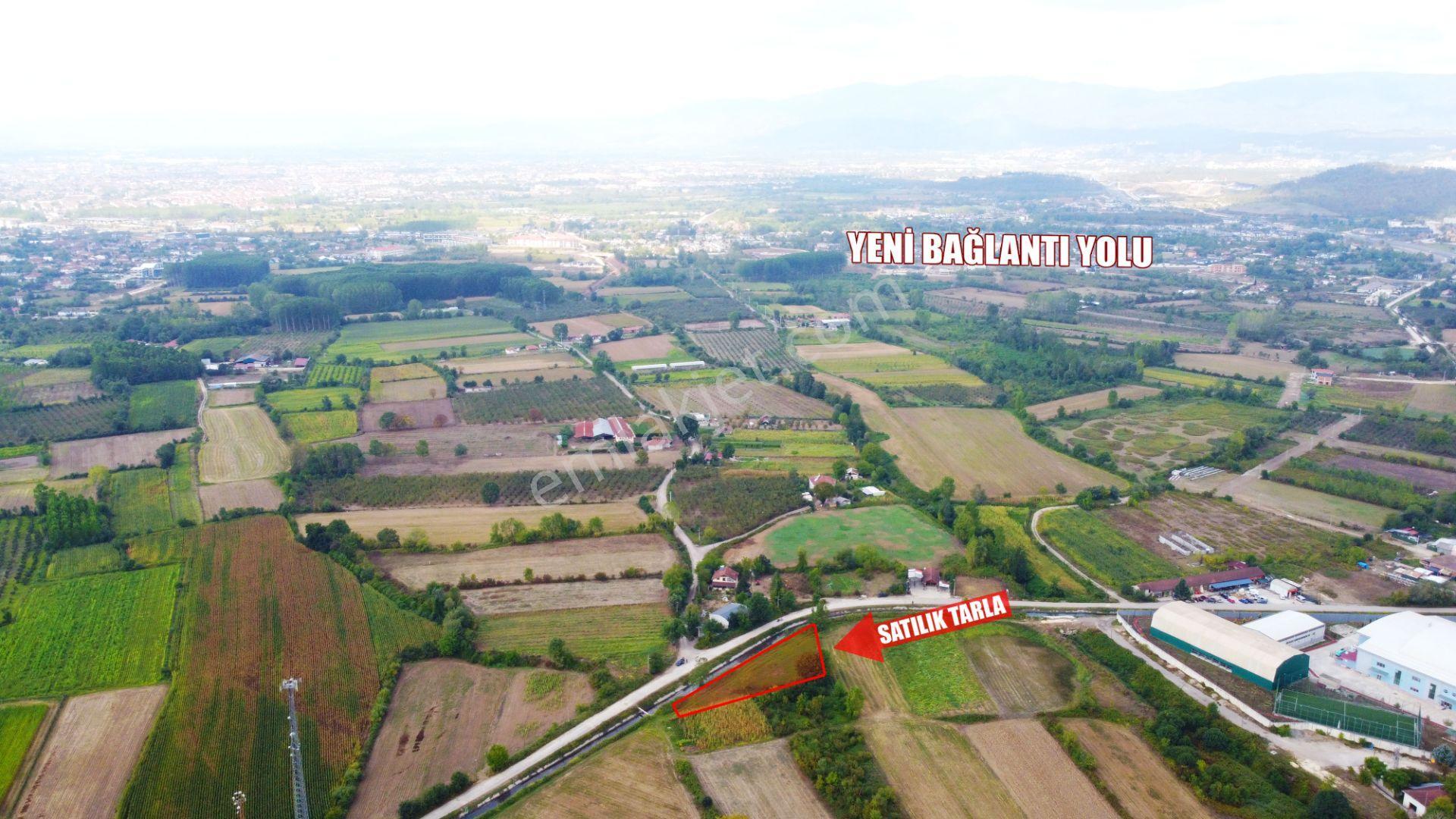Nalbantoğlu Mh | Yatırımlık - Hobi Bahçesine Uygun 1511 M2 Tarla - Görsel 5