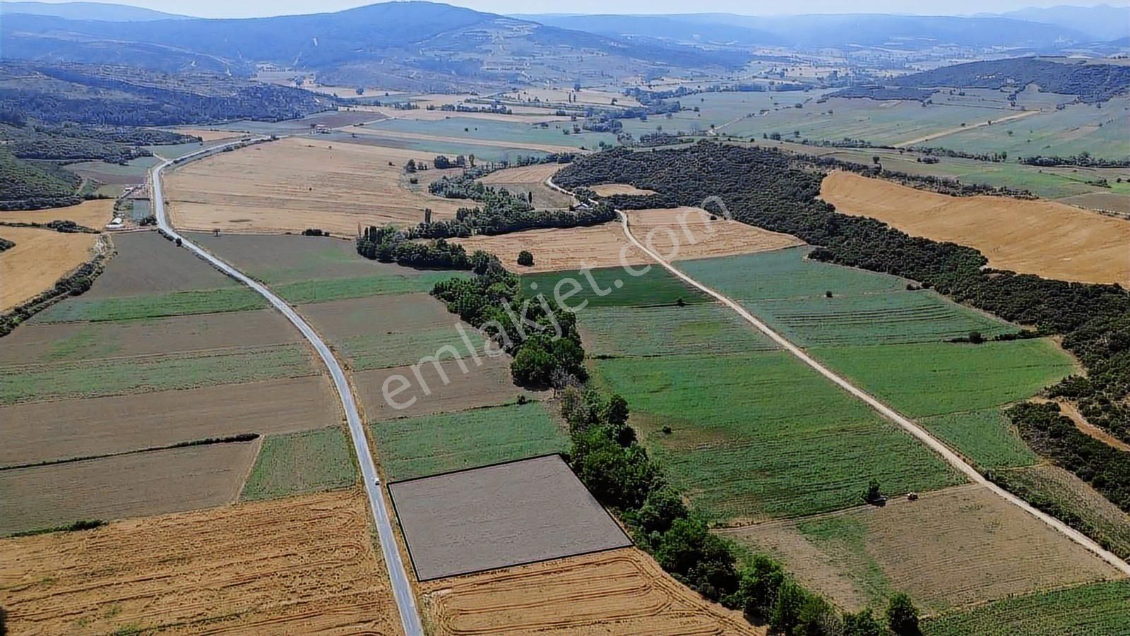 Çanakkale Bayırköyde 212 M² Köprü Manzaralı Parsel - Görsel 15