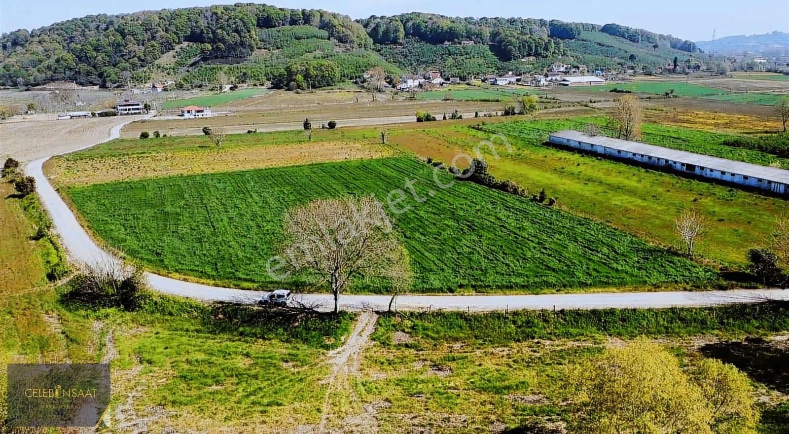Sakarya Karasu Tuzla Mahallesinde 9.500m2 Tarla - Görsel 10