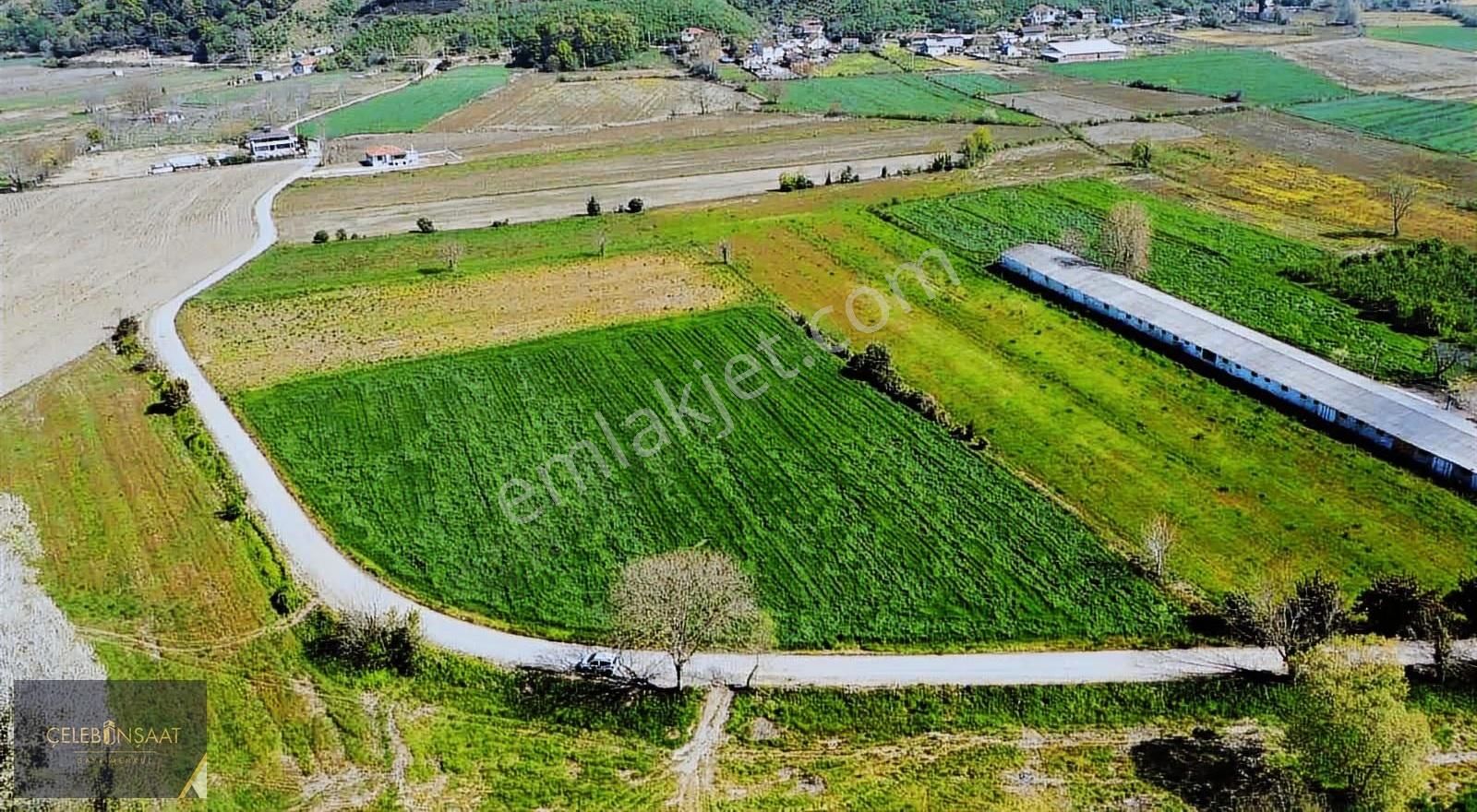 Sakarya Karasu Tuzla Mahallesinde 9.500m2 Tarla - Görsel 4