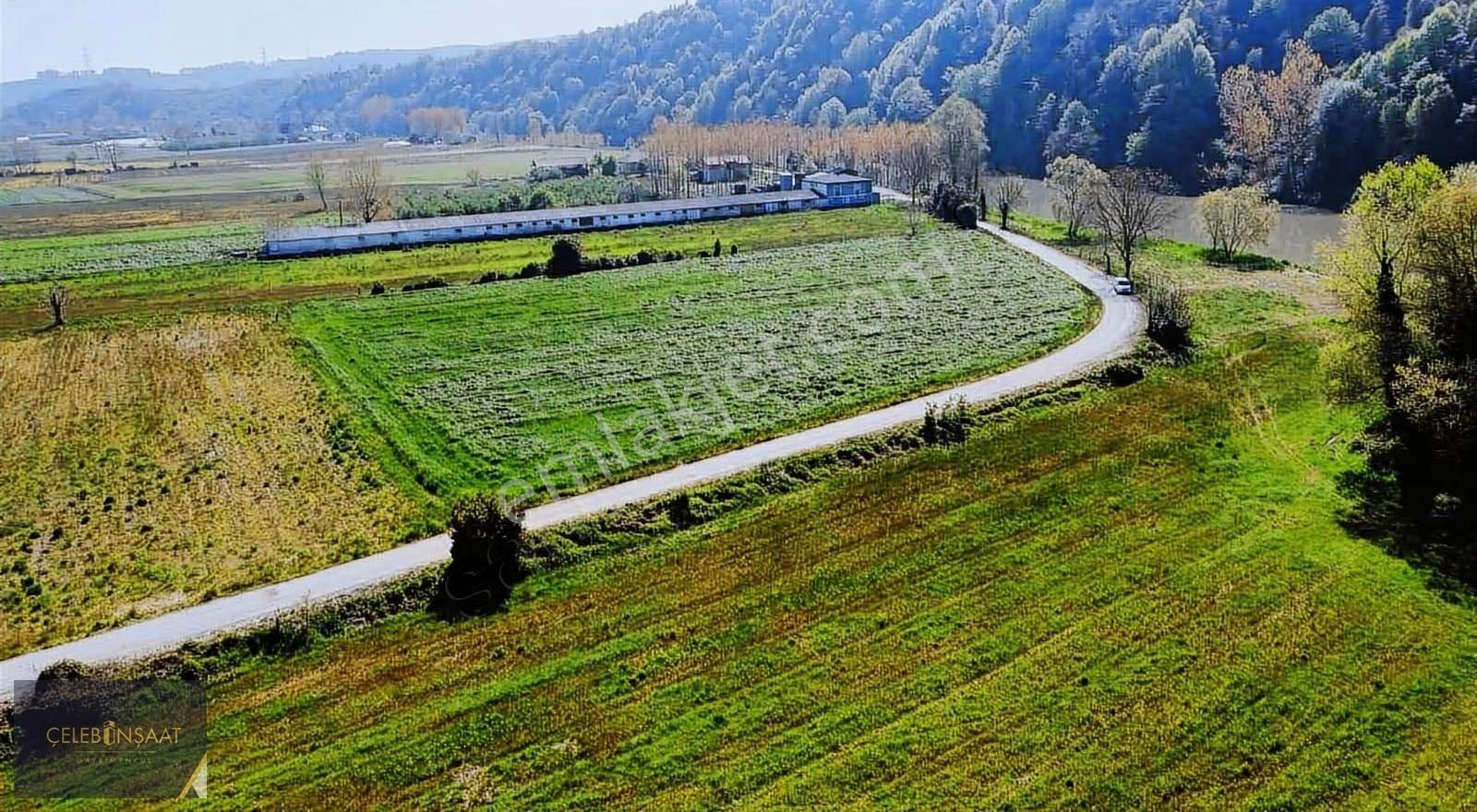 Sakarya Karasu Tuzla Mahallesinde 9.500m2 Tarla - Görsel 6