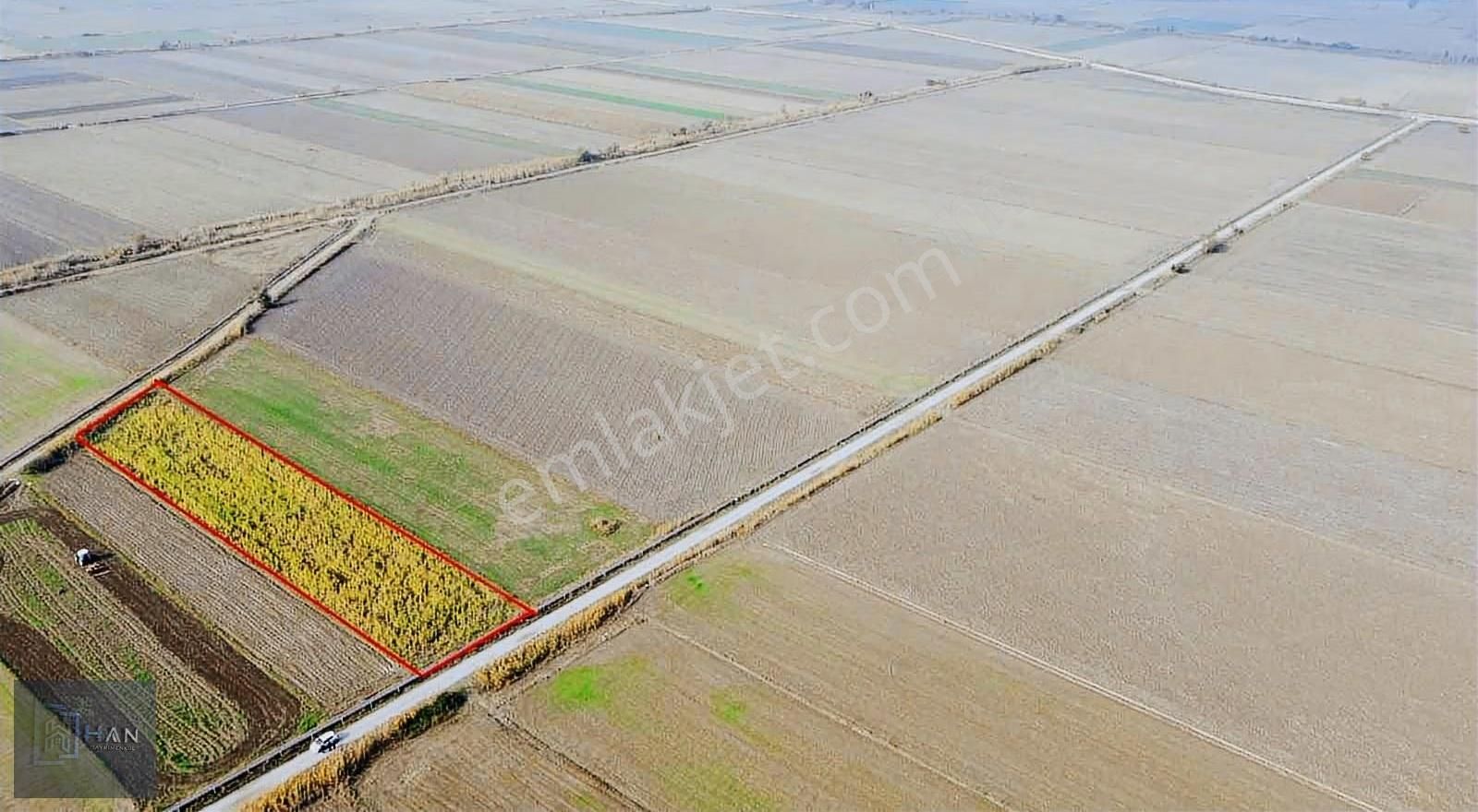 Yenipazar Merkeze 2 Km Mesafede Satılık Tarla - Görsel 3