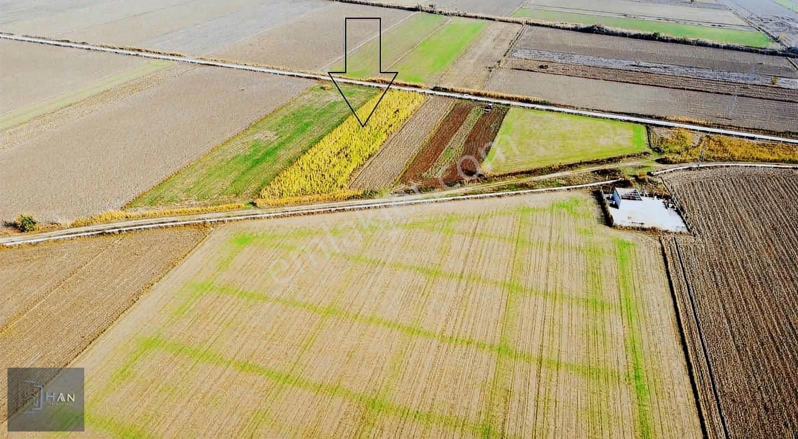 Yenipazar Merkeze 2 Km Mesafede Satılık Tarla - Görsel 4