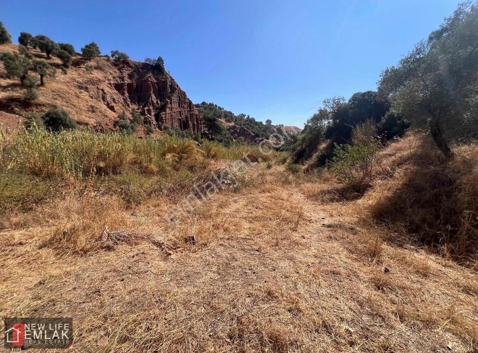 Fırsat Tarla 630 M2 Tek Tapu - Görsel 5