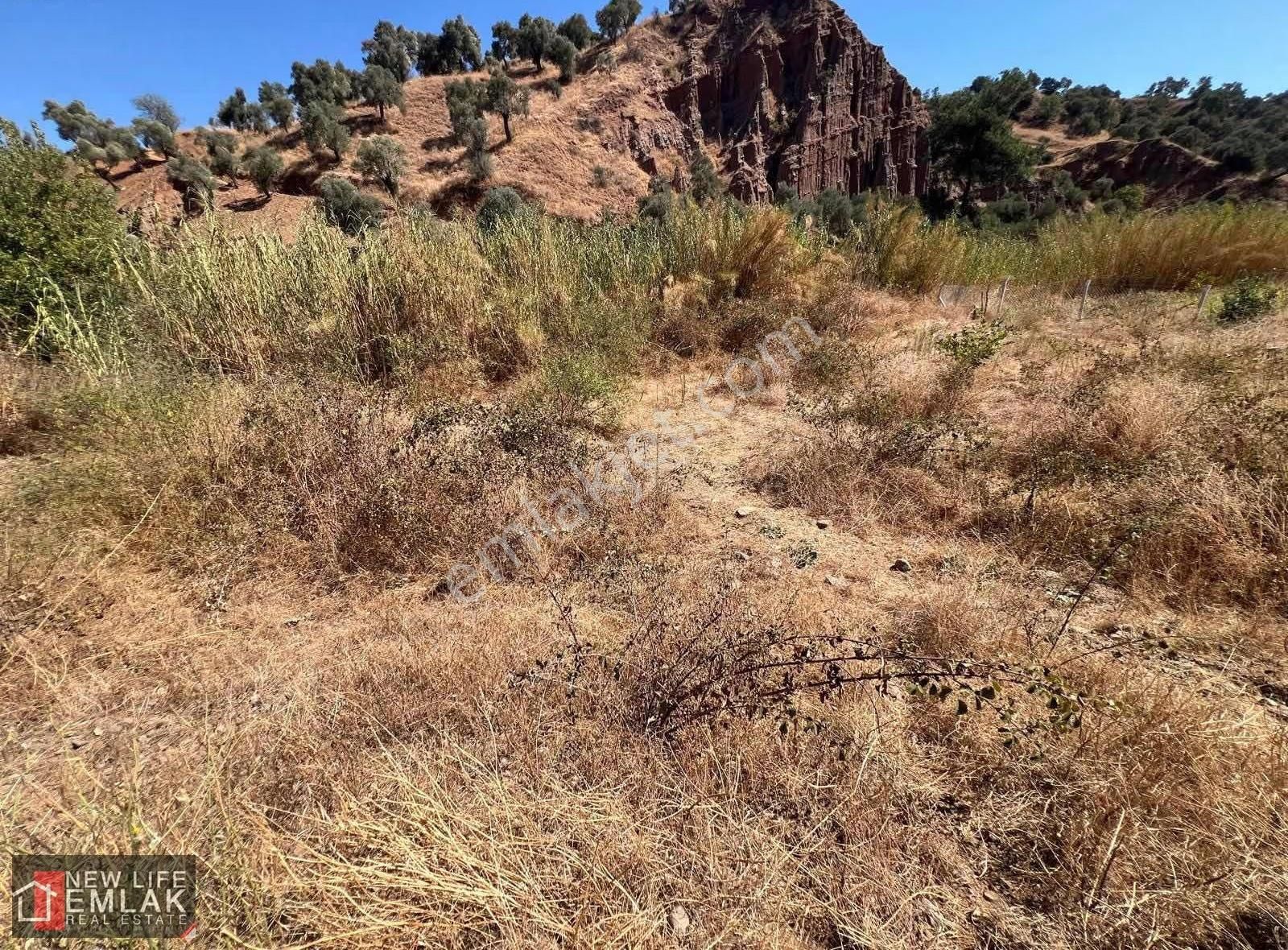 Fırsat Tarla 630 M2 Tek Tapu - Görsel 6