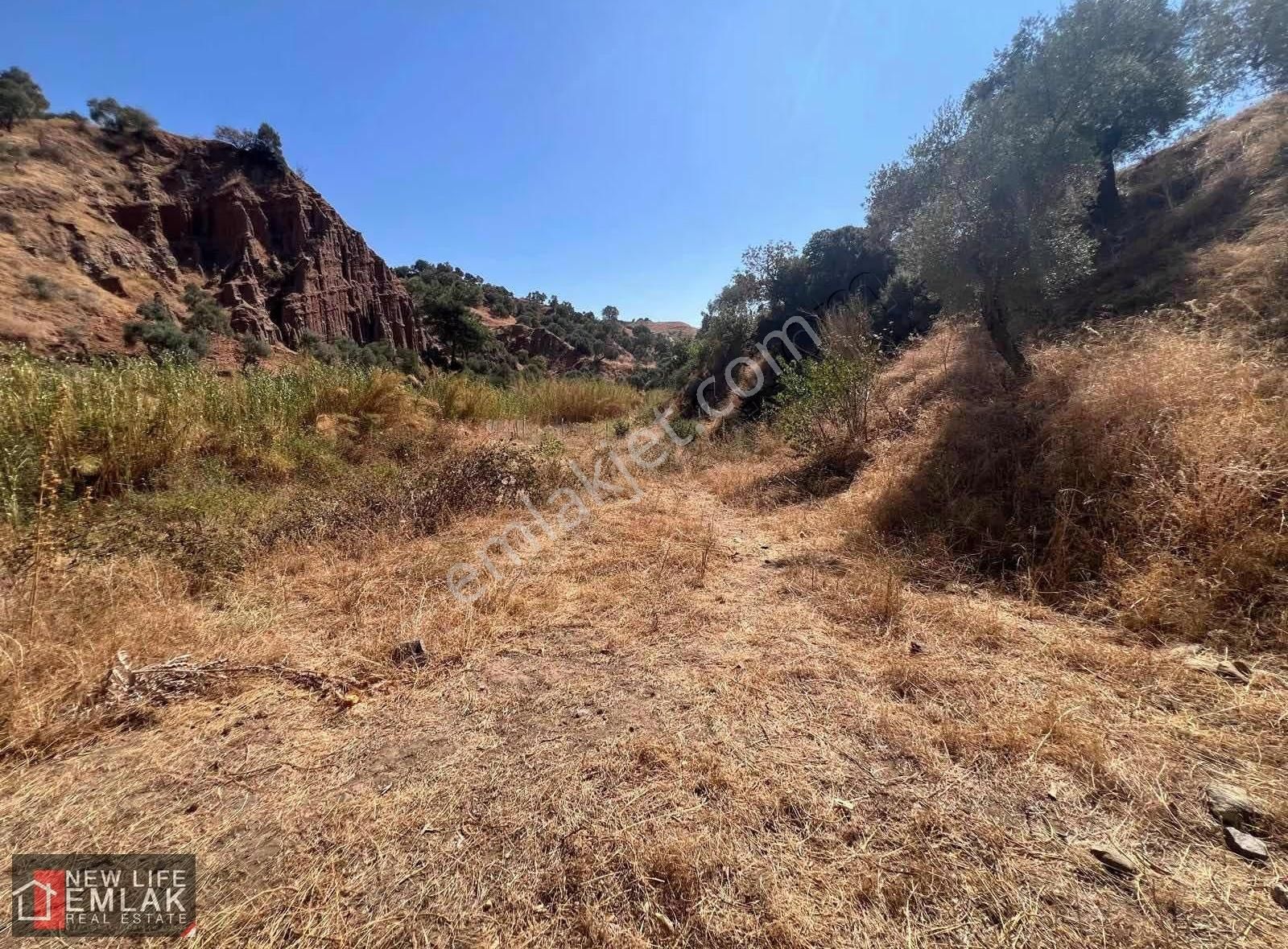 Fırsat Tarla 630 M2 Tek Tapu - Görsel 8