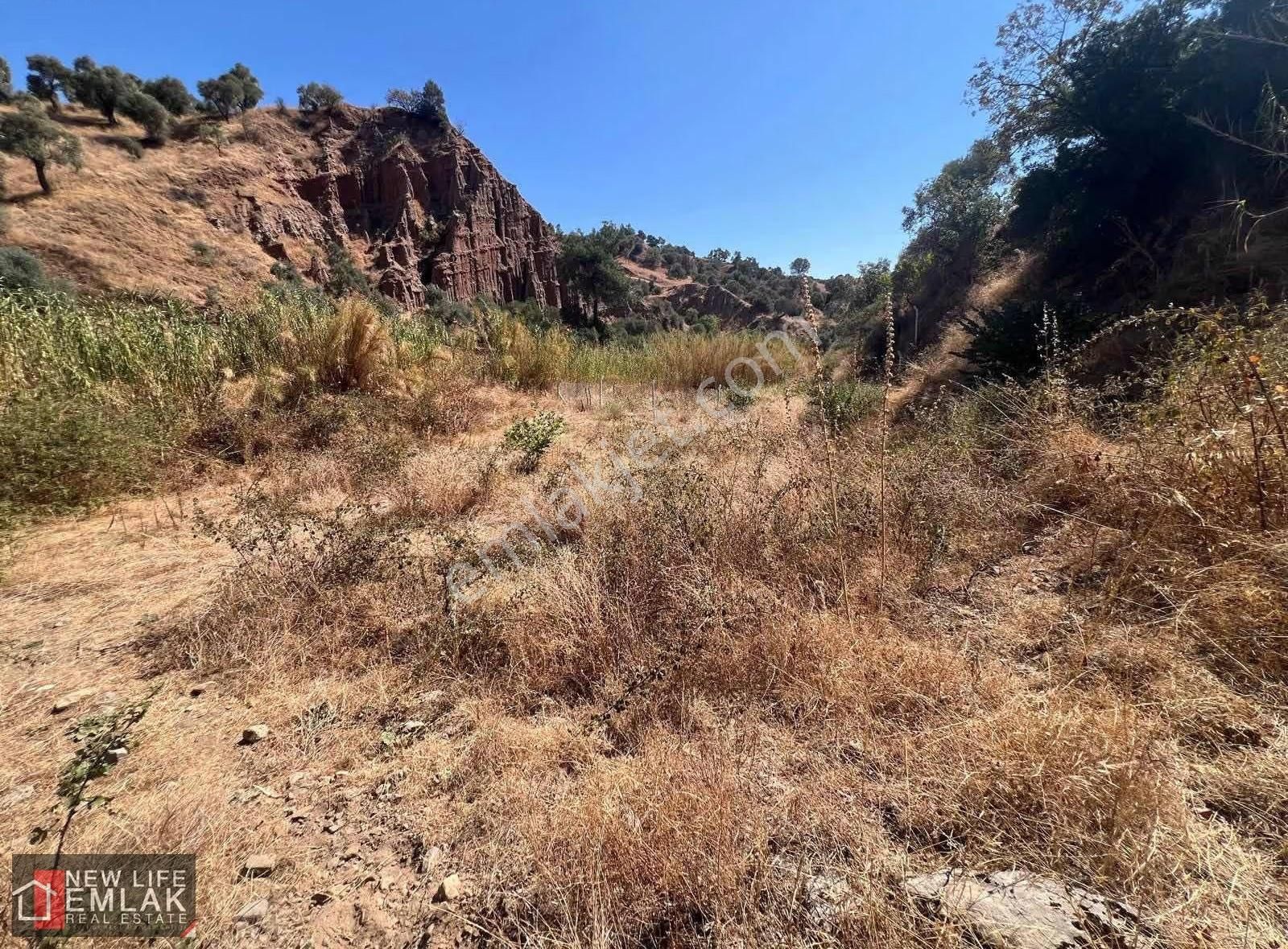 Fırsat Tarla 630 M2 Tek Tapu - Görsel 9