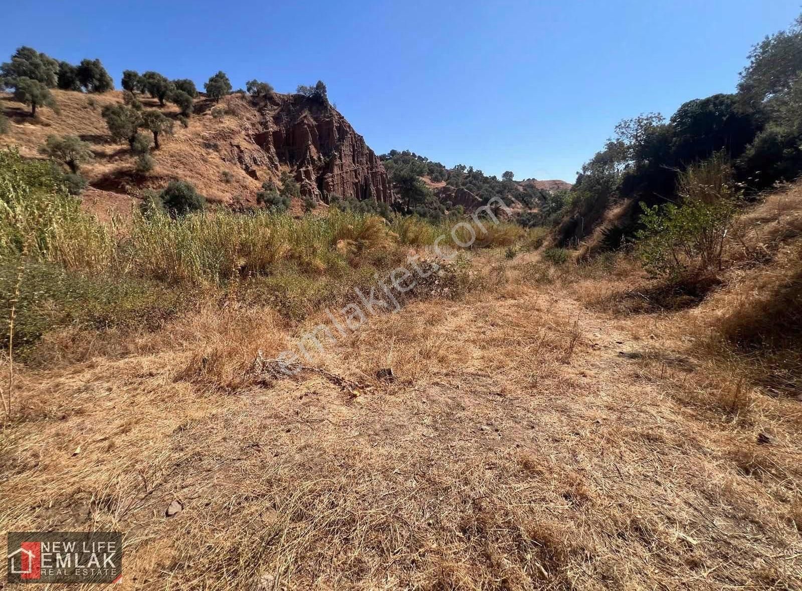 Fırsat Tarla 630 M2 Tek Tapu - Görsel 4