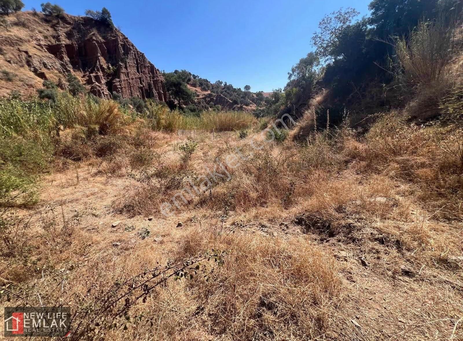 Fırsat Tarla 630 M2 Tek Tapu - Görsel 2