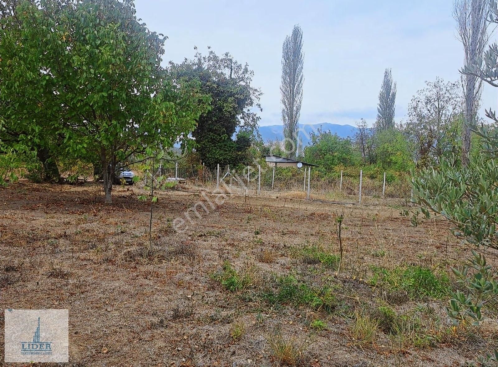 Bursa Orhangazi Karsak'ta 264m2 Harika Konumda Süper Hobi Bahçe - Görsel 10