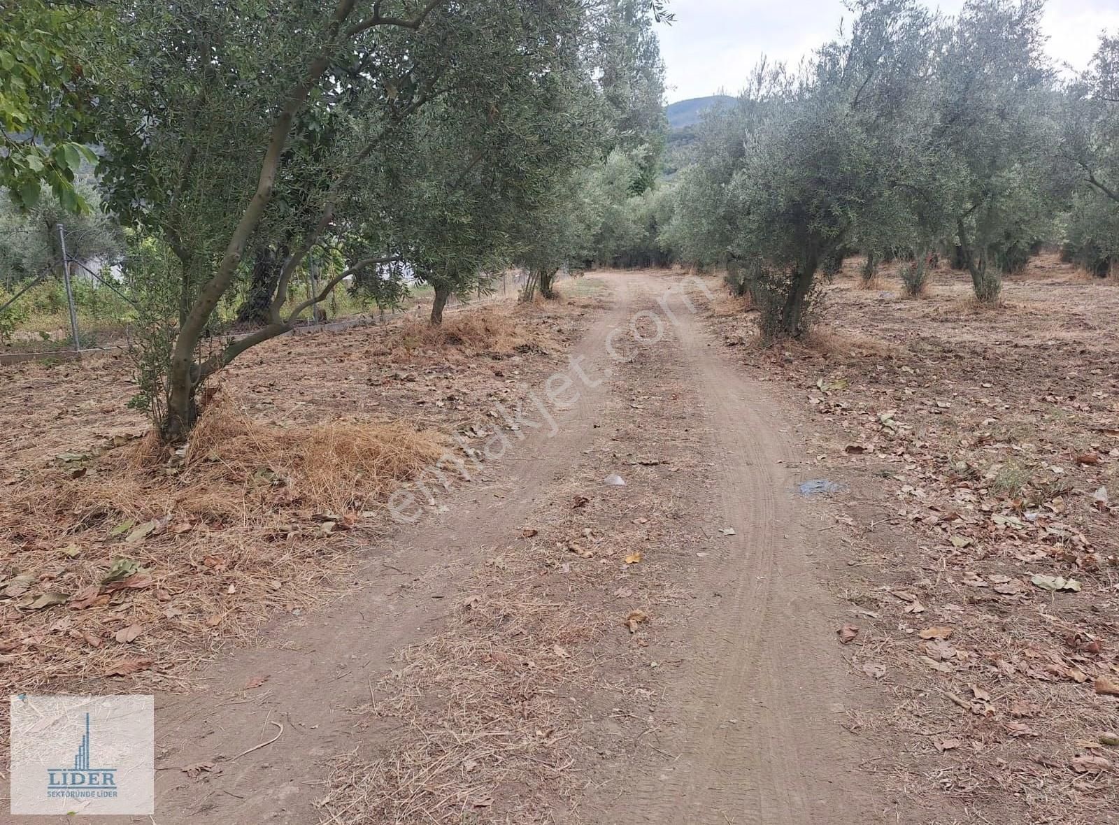 Bursa Orhangazi Karsak'ta 264m2 Harika Konumda Süper Hobi Bahçe - Görsel 14