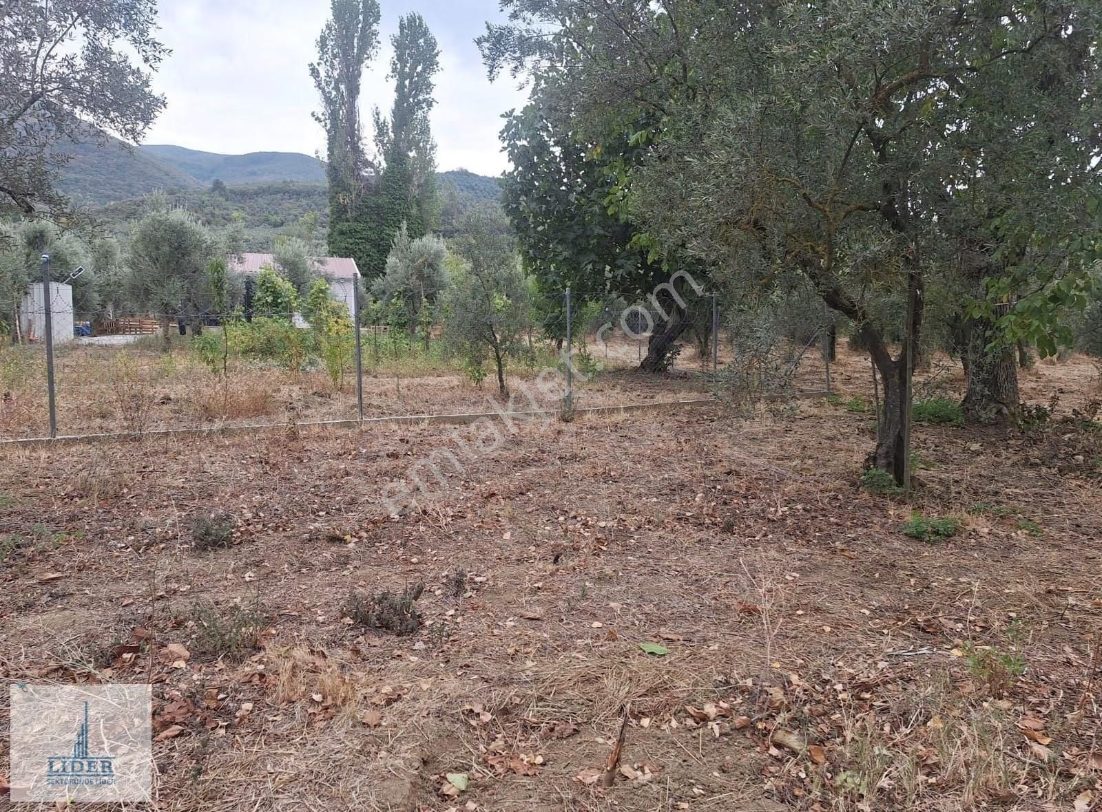 Bursa Orhangazi Karsak'ta 264m2 Harika Konumda Süper Hobi Bahçe - Görsel 12