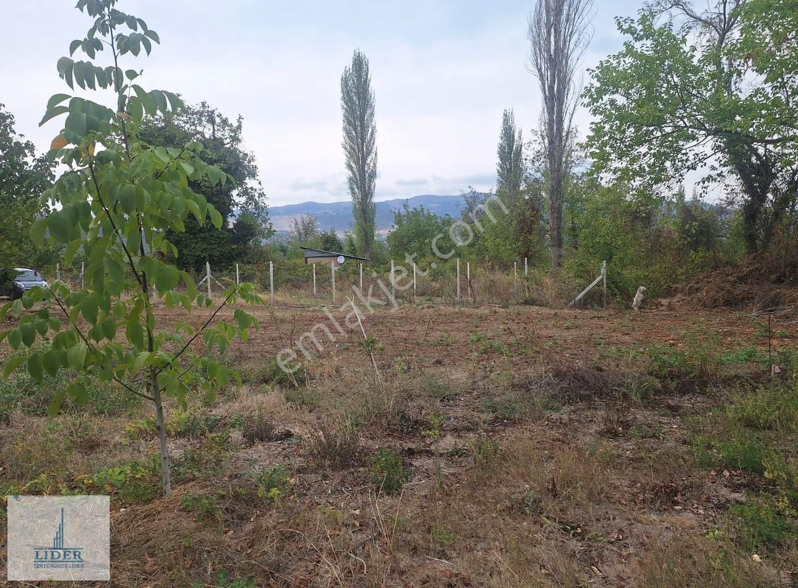 Bursa Orhangazi Karsak'ta 264m2 Harika Konumda Süper Hobi Bahçe - Görsel 4