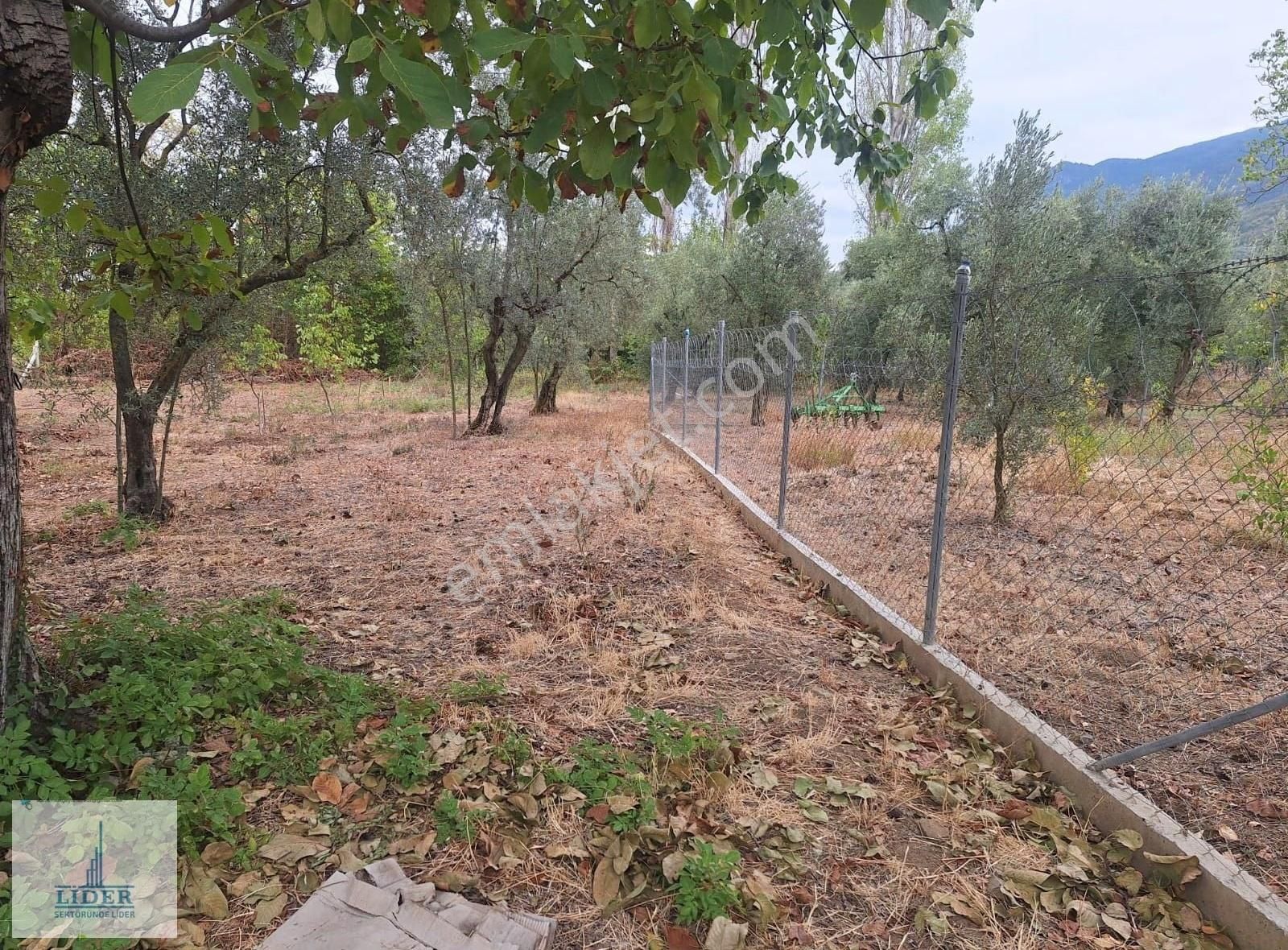 Bursa Orhangazi Karsak'ta 264m2 Harika Konumda Süper Hobi Bahçe - Görsel 17