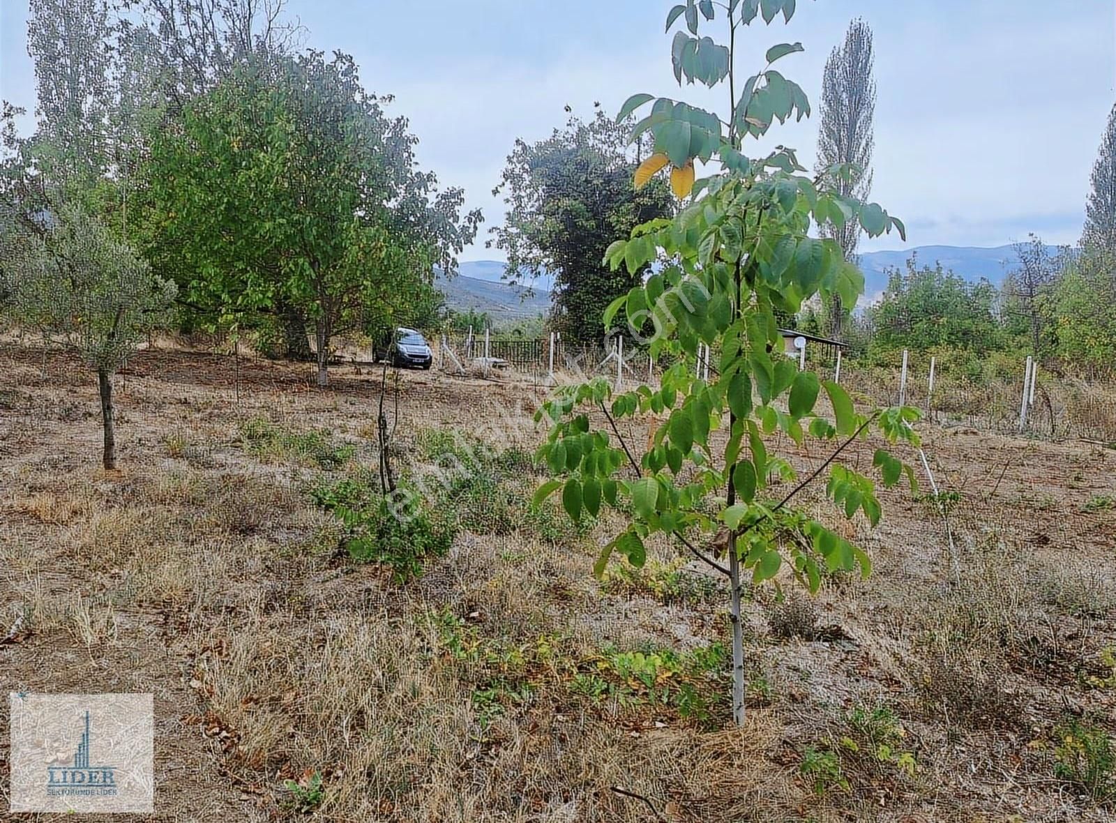 Bursa Orhangazi Karsak'ta 264m2 Harika Konumda Süper Hobi Bahçe - Görsel 6