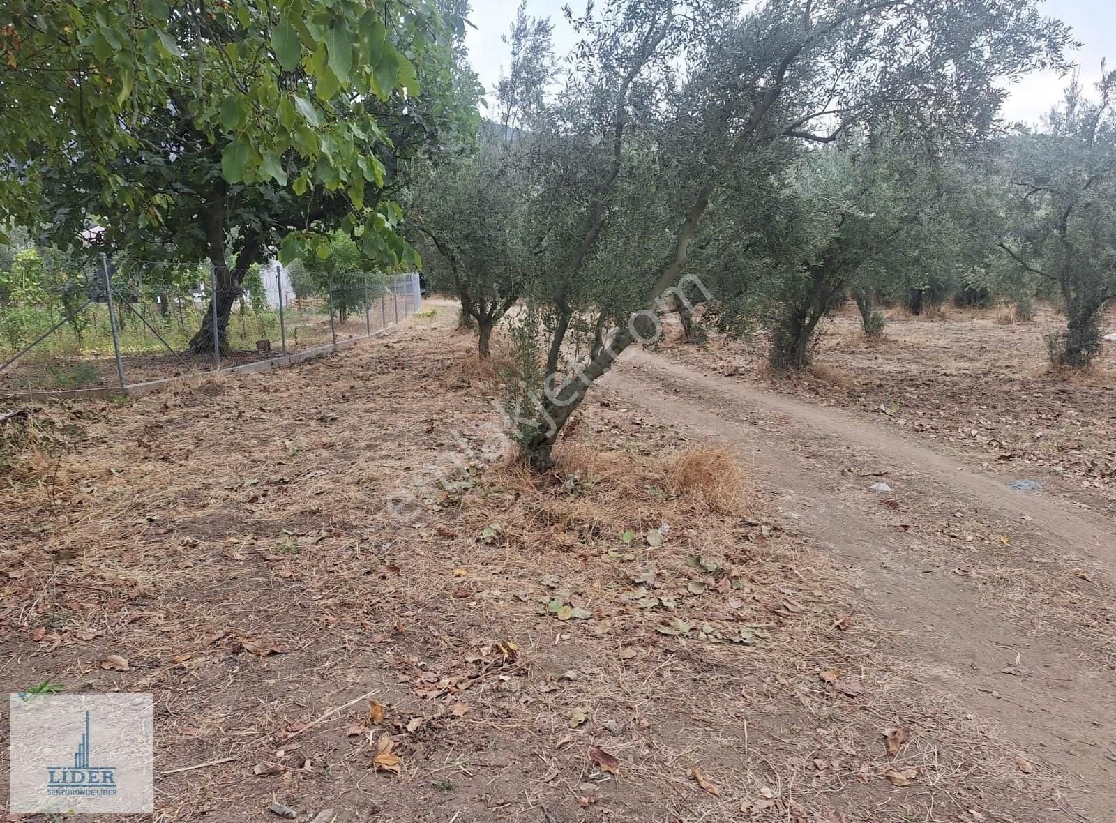 Bursa Orhangazi Karsak'ta 264m2 Harika Konumda Süper Hobi Bahçe - Görsel 3