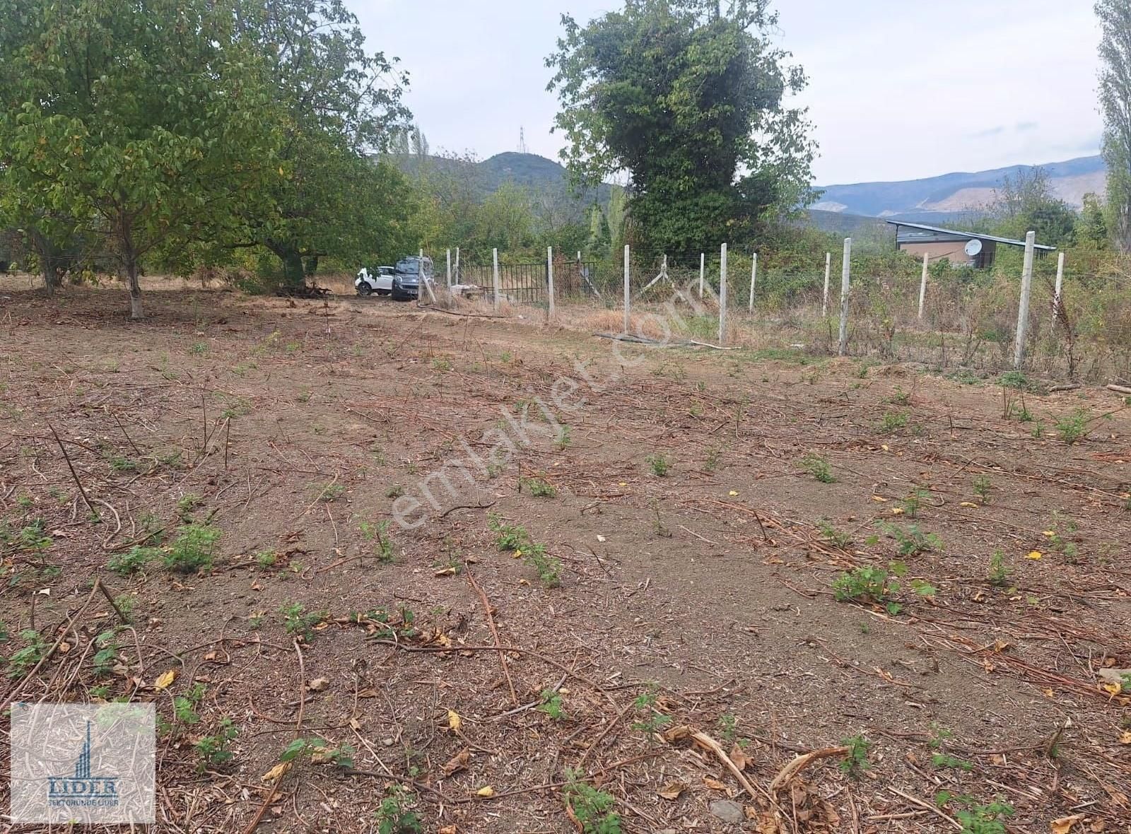 Bursa Orhangazi Karsak'ta 264m2 Harika Konumda Süper Hobi Bahçe - Görsel 2