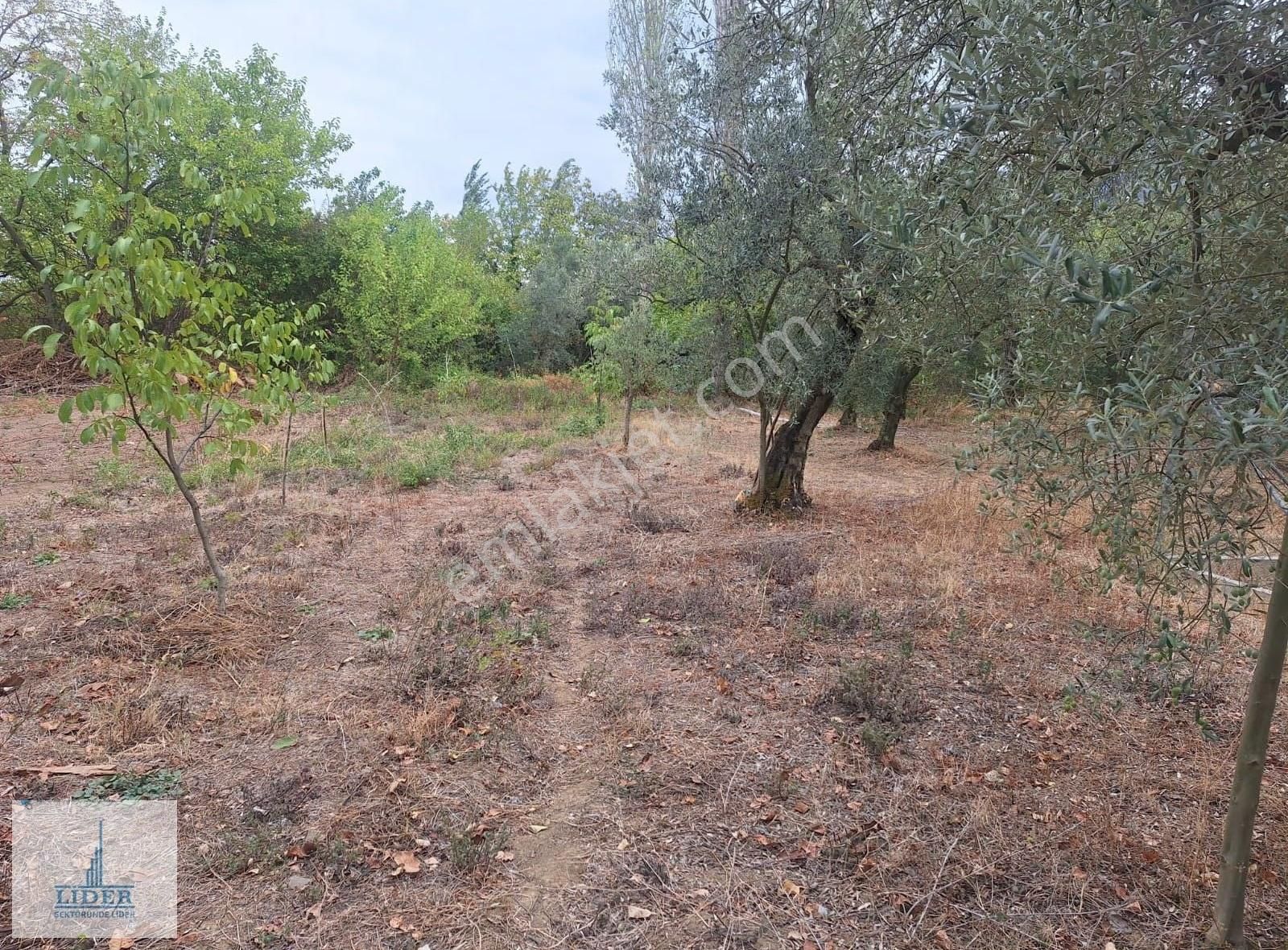 Bursa Orhangazi Karsak'ta 264m2 Harika Konumda Süper Hobi Bahçe - Görsel 11